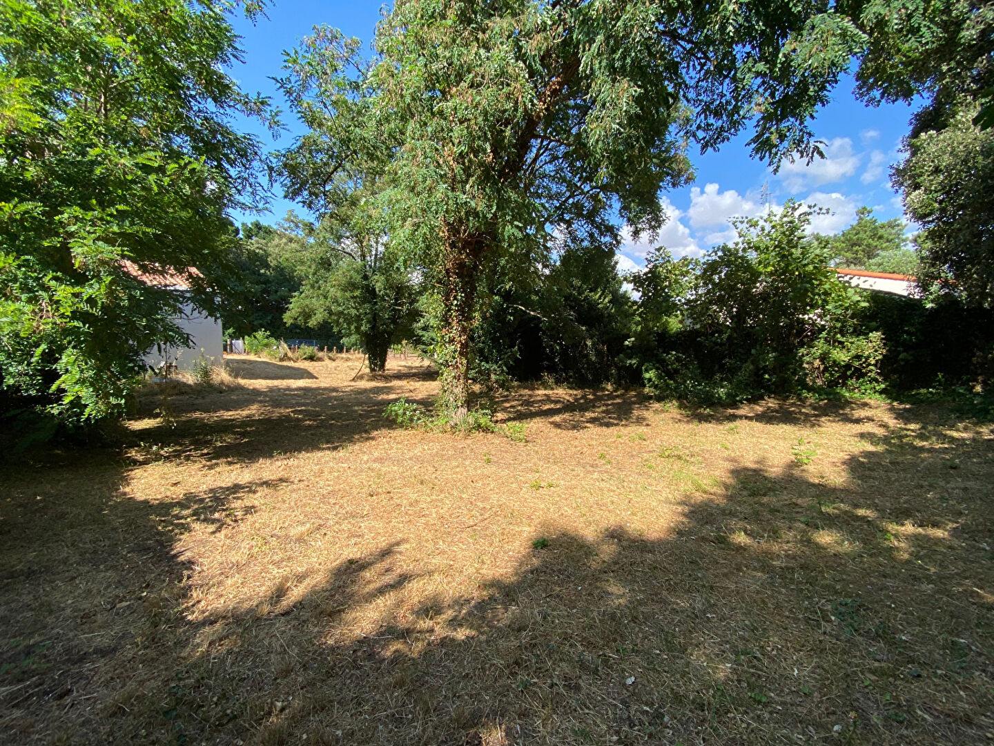Terrain LONGEVILLE SUR MER (85560) 493.00 m²