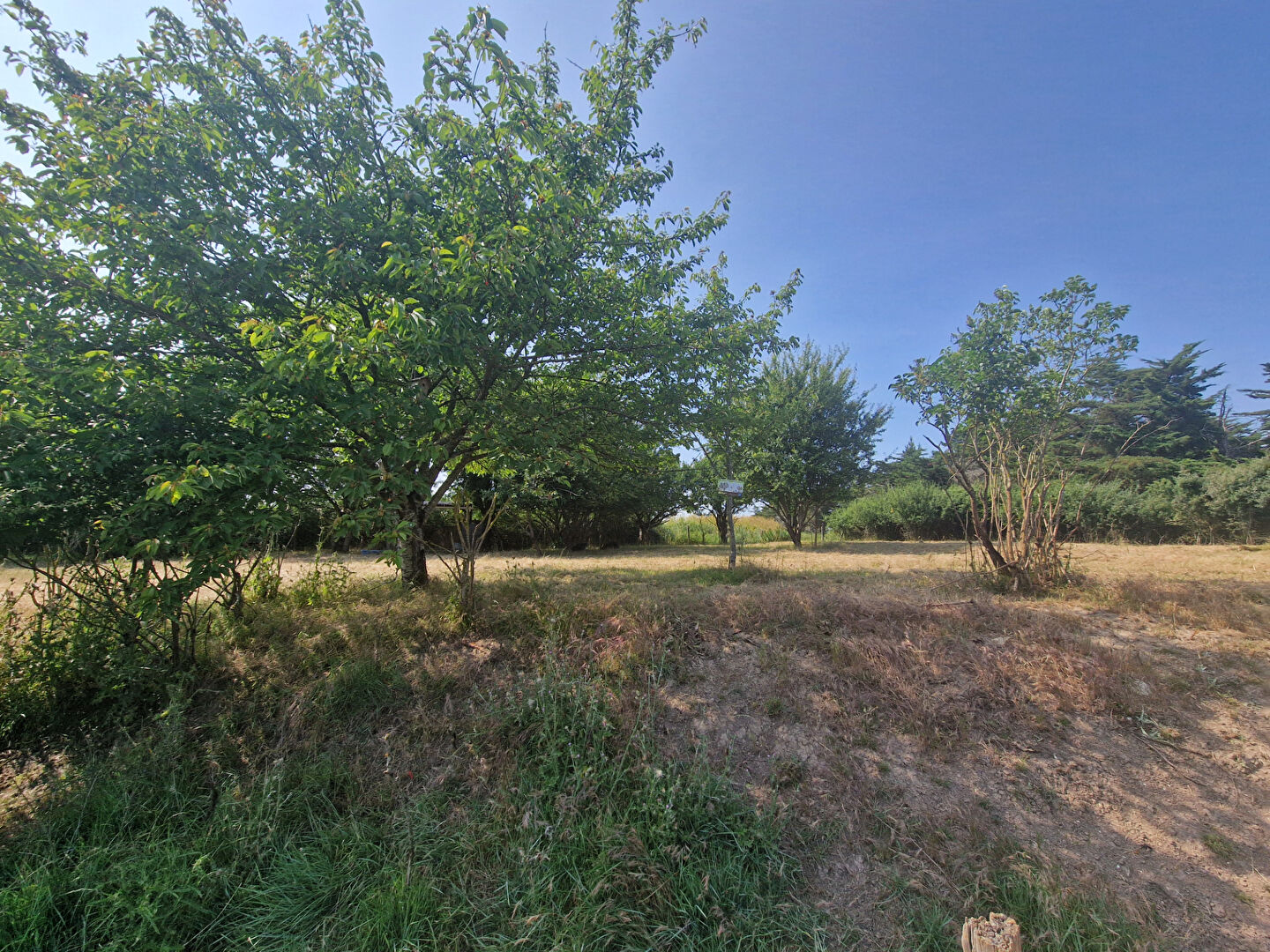 Terrain TALMONT SAINT HILAIRE (85440) 825.00 m²
