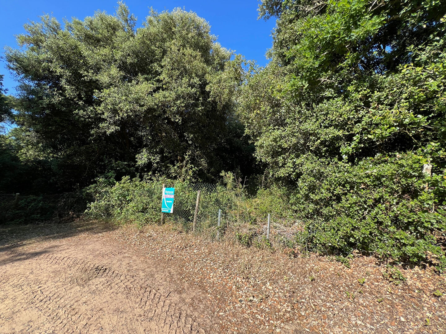 Terrain de loisirs LONGEVILLE SUR MER (85560)