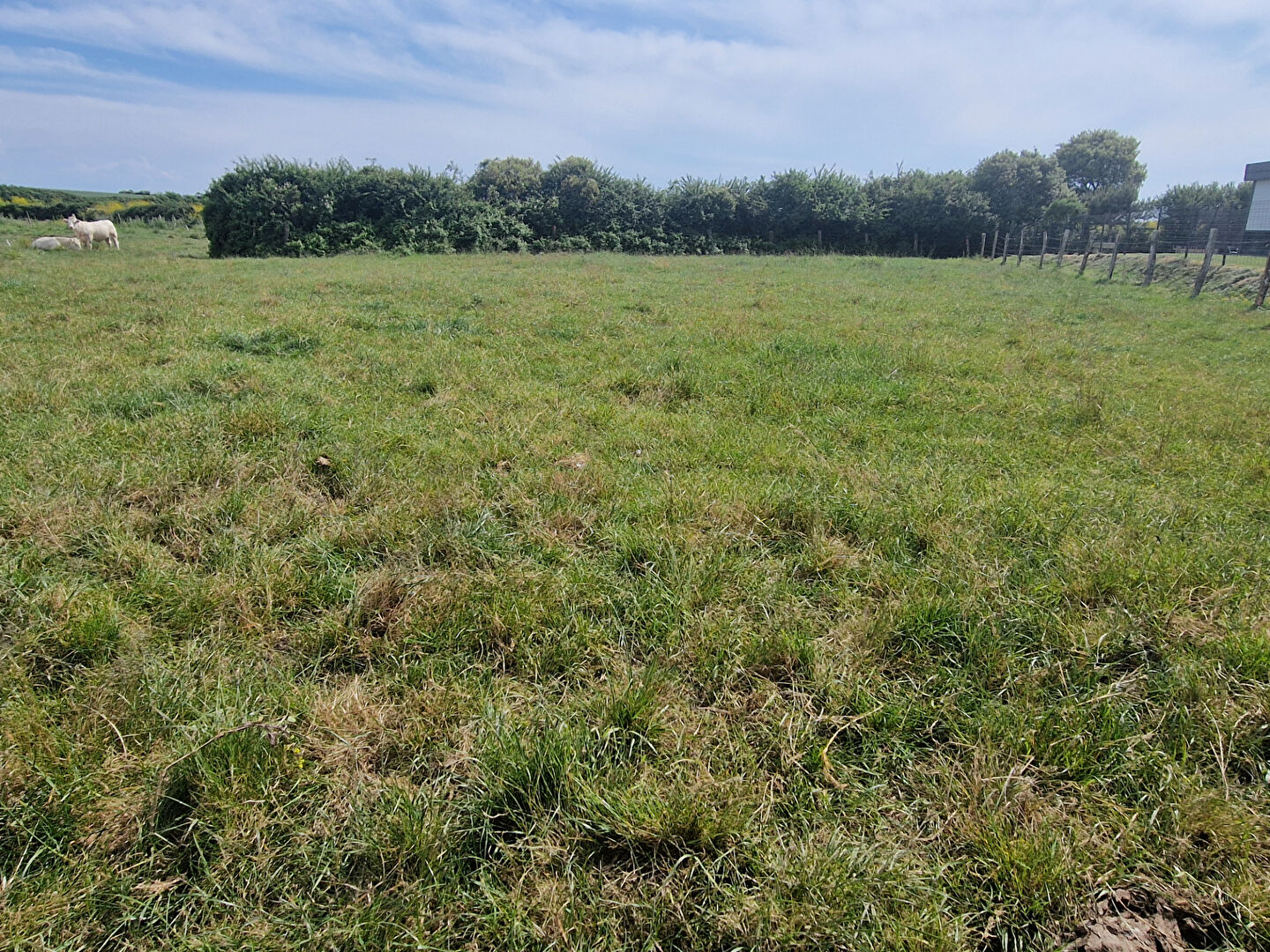 Terrain TALMONT SAINT HILAIRE (85440) 1816.00 m²