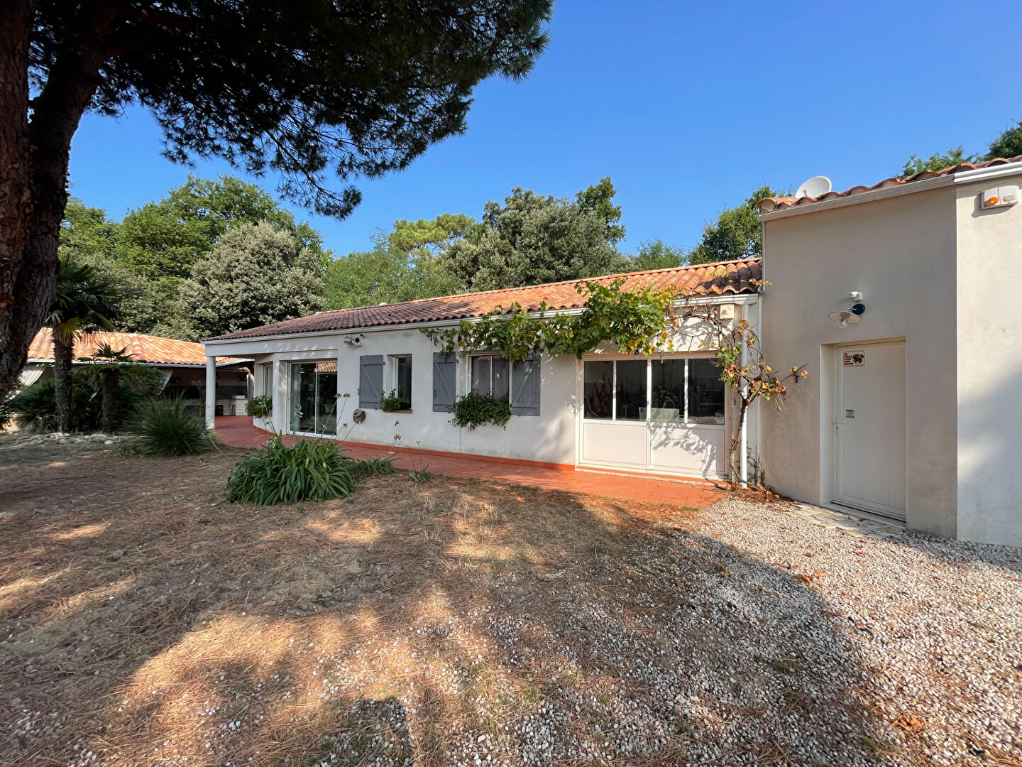 Maison JARD SUR MER (85520) 12 pièces 220.00 m²