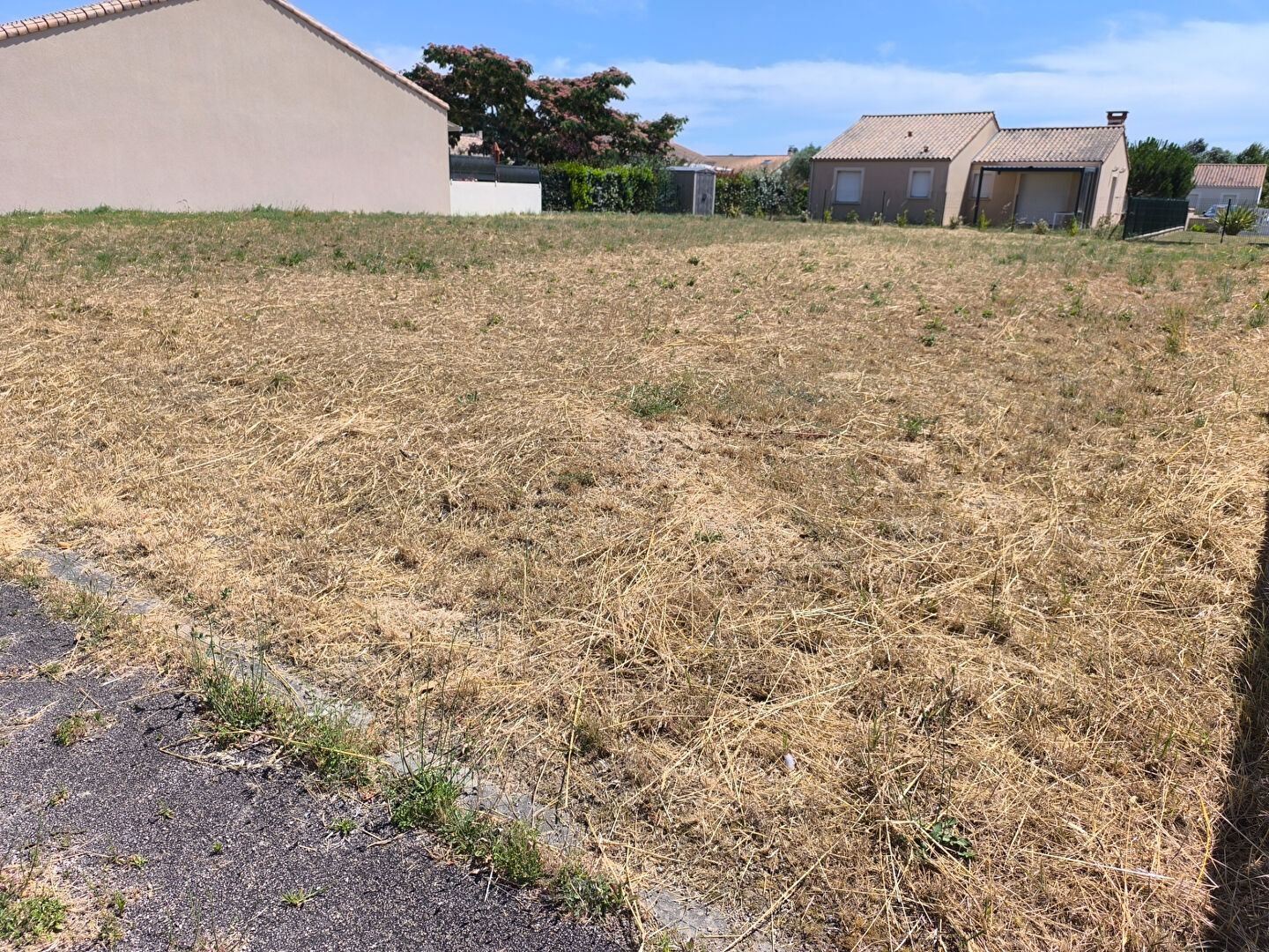 Terrain JARD SUR MER (85520) 600.00 m²