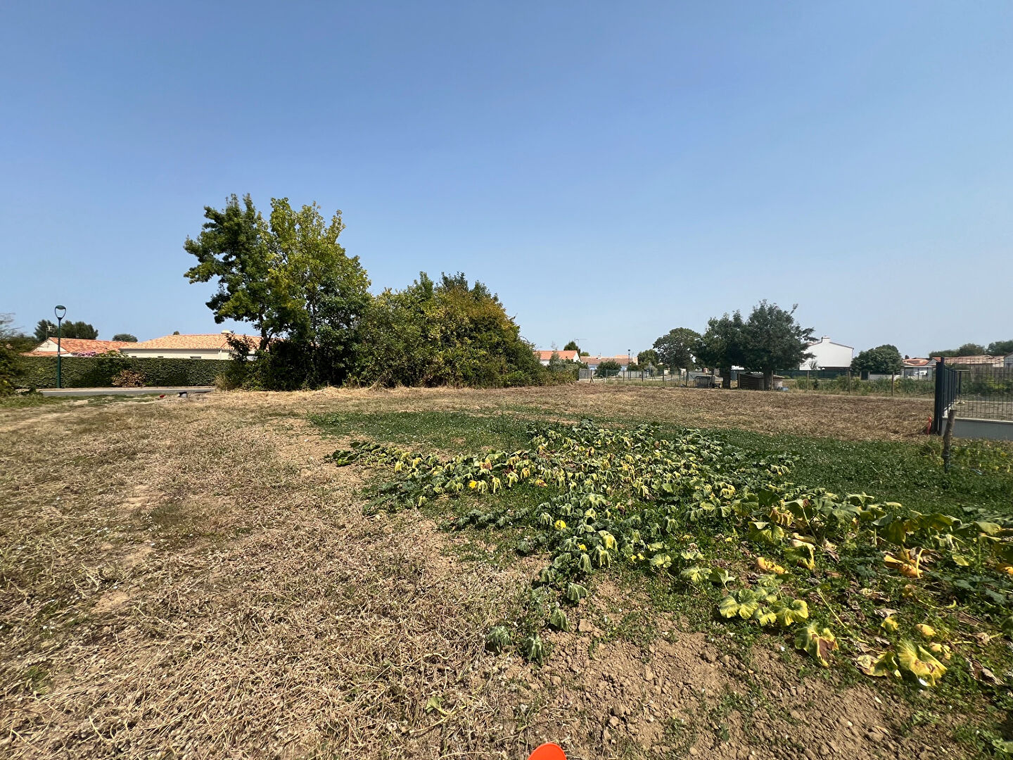 Terrain LE BERNARD (85560) 313.00 m²