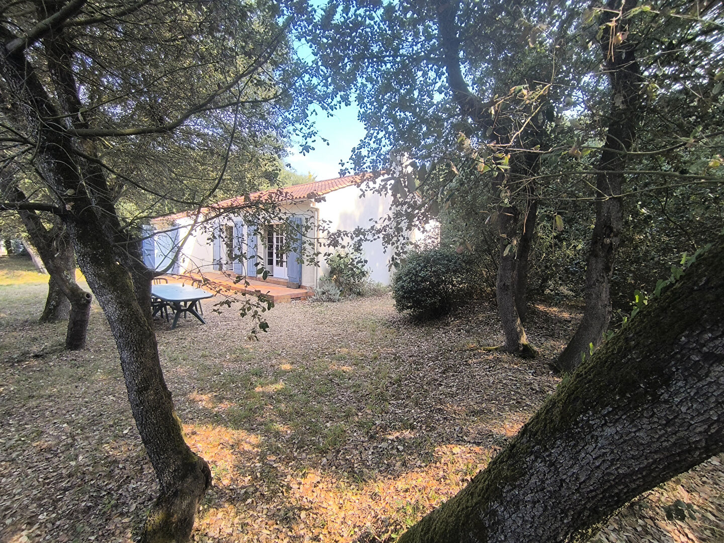 Maison TALMONT SAINT HILAIRE (85440) 4 pièces 64.00 m²