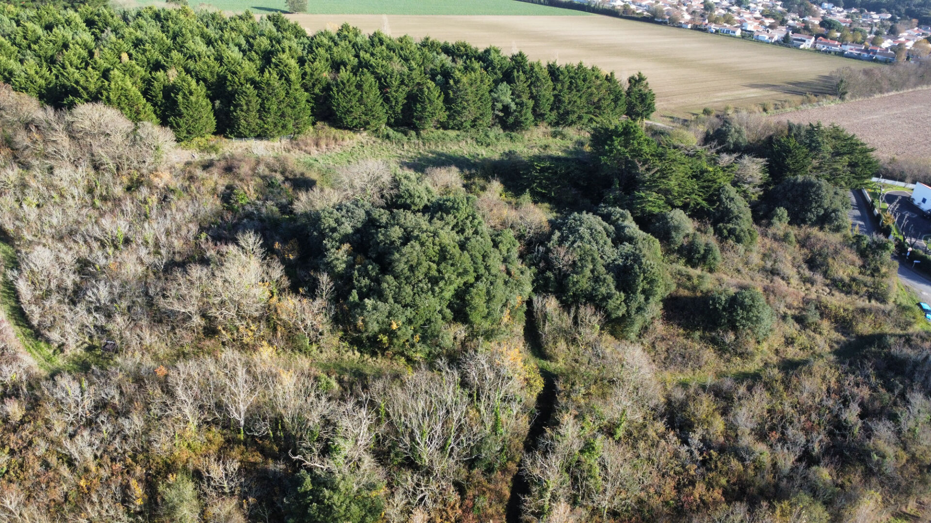 Terrain JARD SUR MER (85520) 2790.00 m²