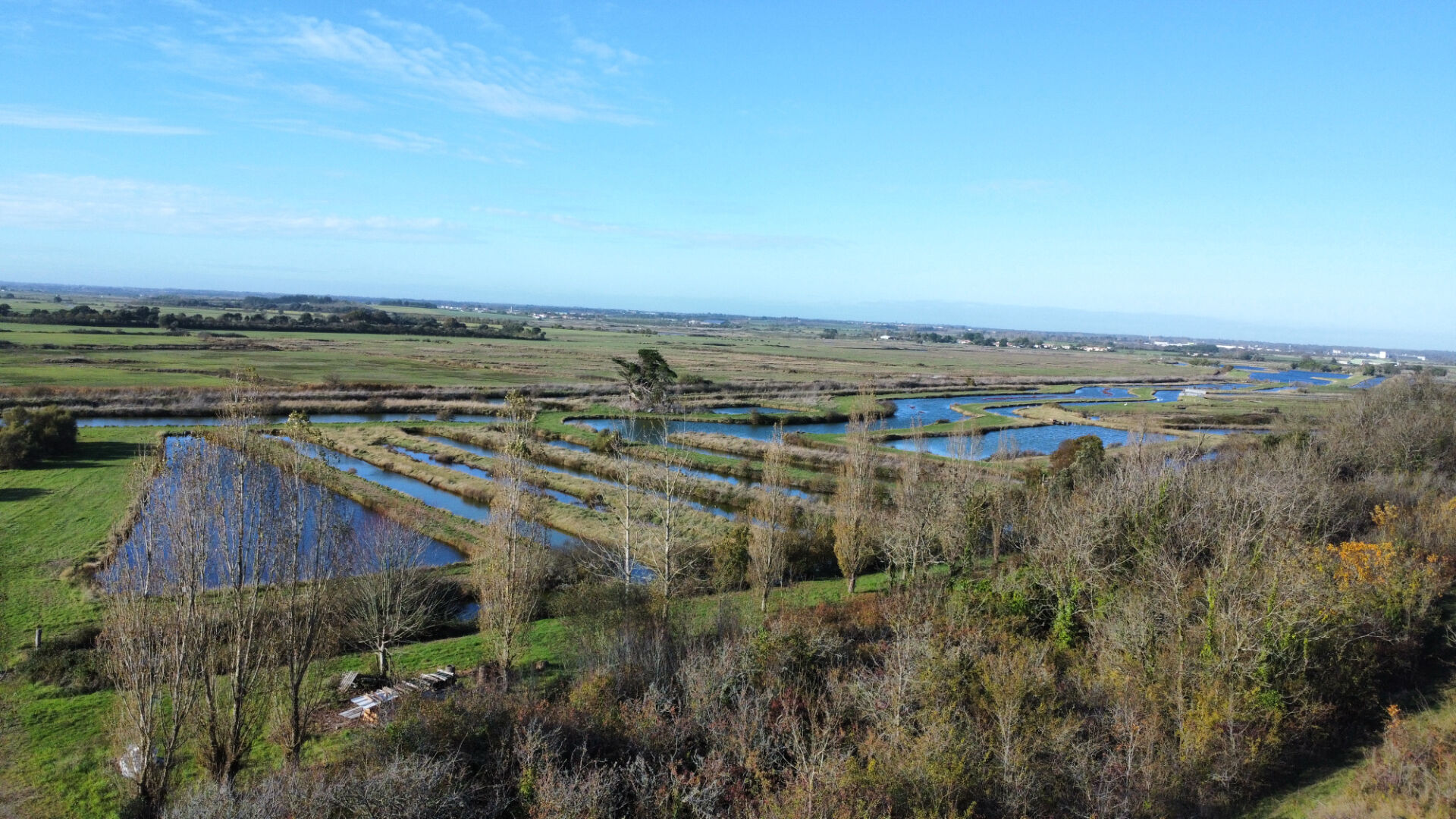 Terrain JARD SUR MER (85520) 2790.00 m&sup2;