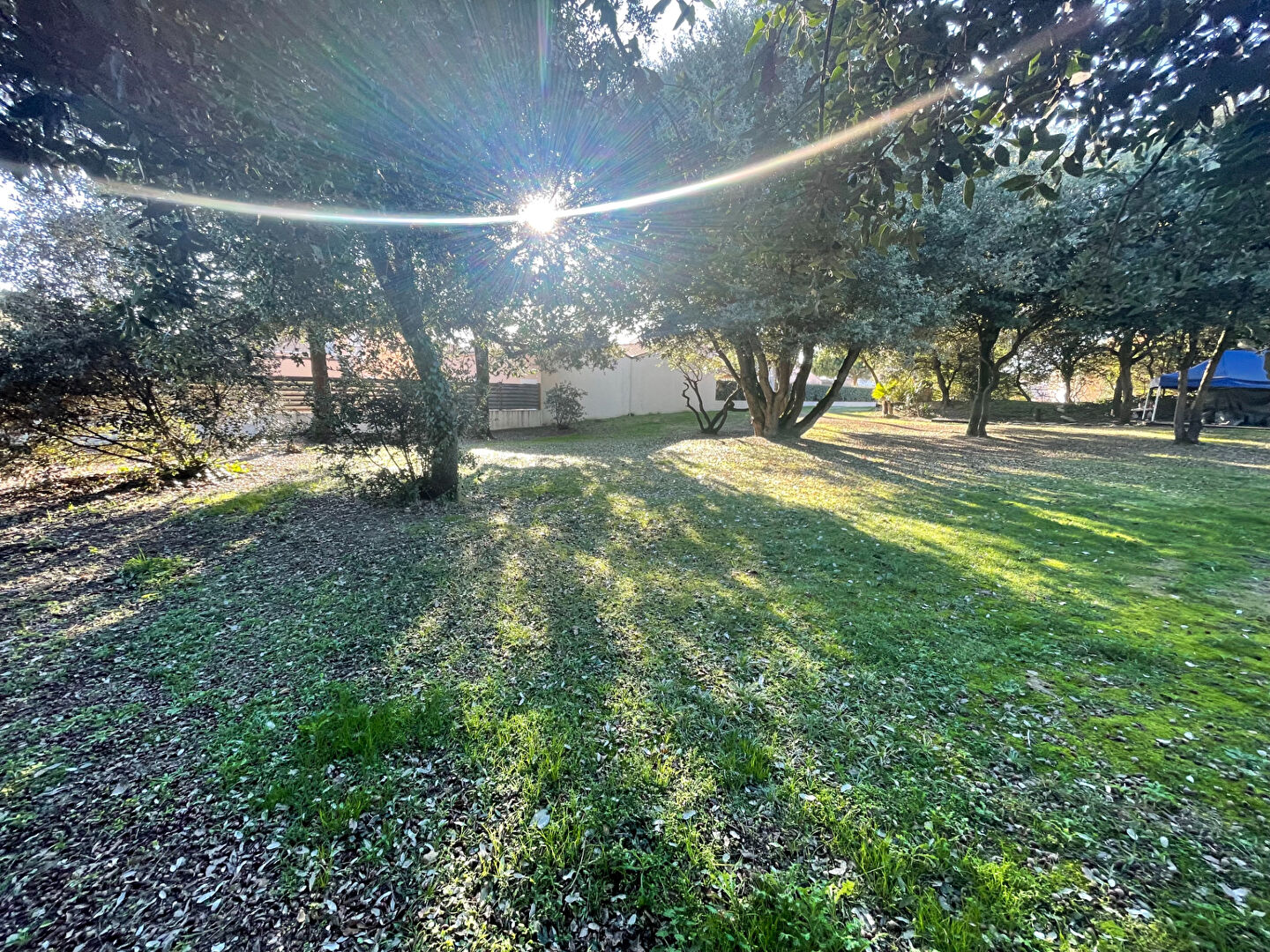 Terrain JARD SUR MER (85520) 671.00 m²