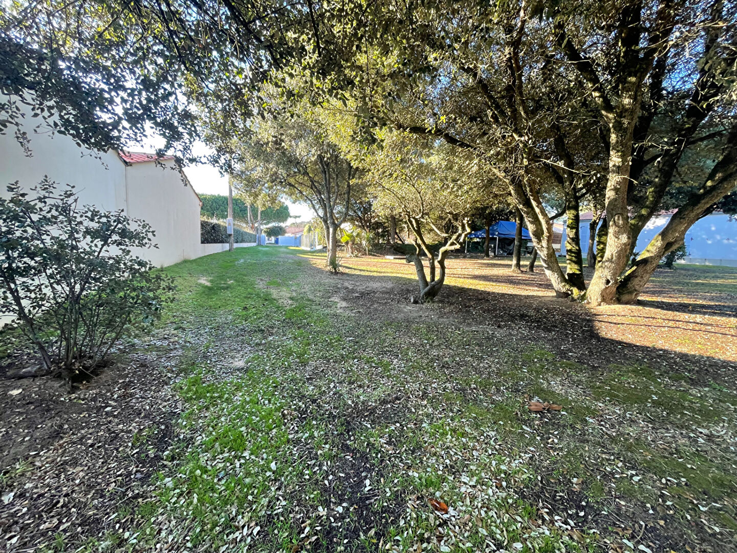 Terrain JARD SUR MER (85520) 671.00 m&sup2;