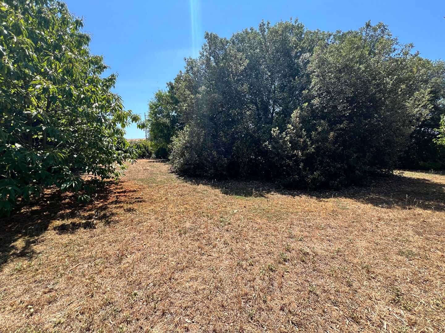 Terrain LONGEVILLE SUR MER (85560) 457.00 m&sup2;