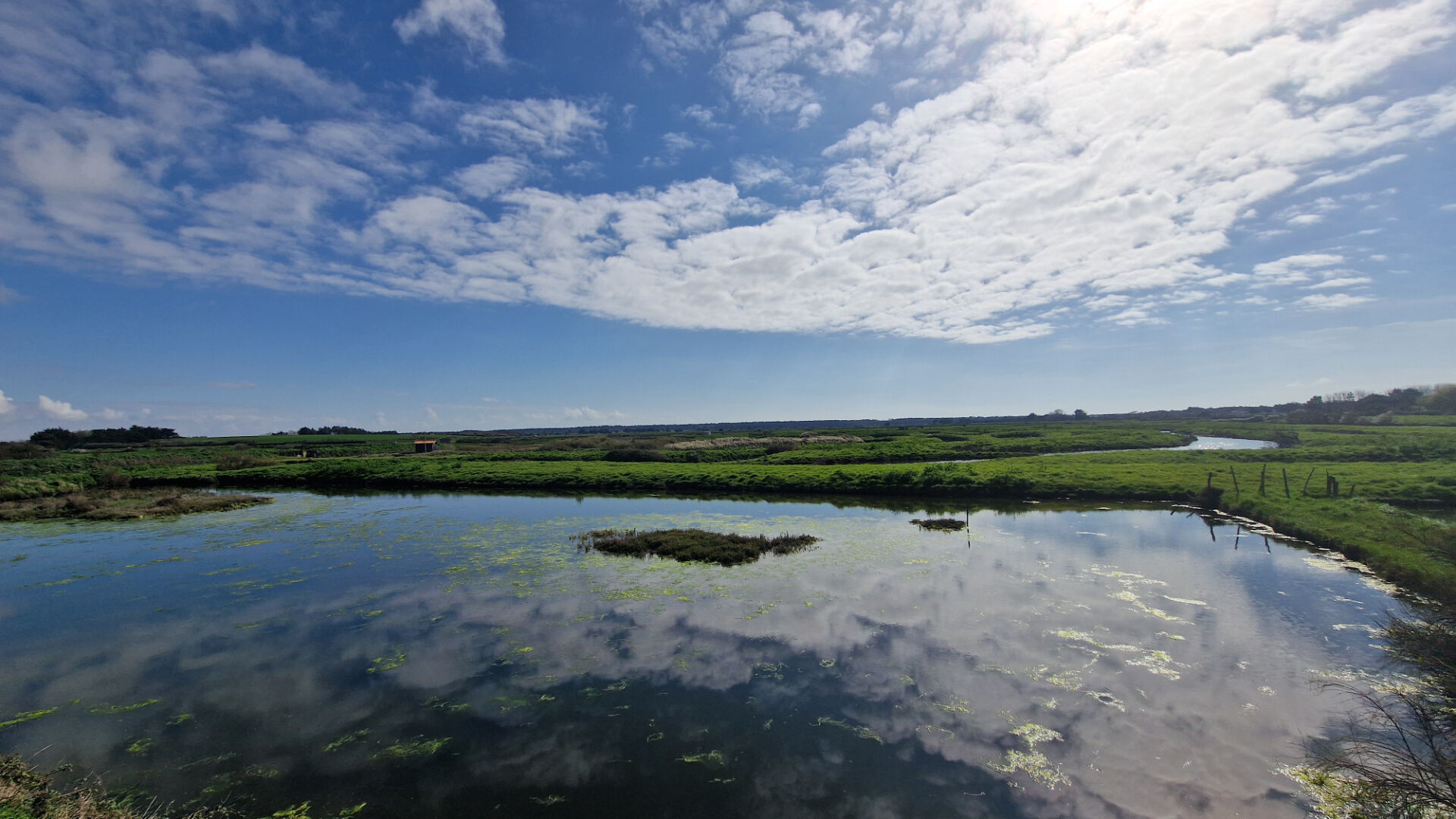 Terrain TALMONT SAINT HILAIRE (85440)
