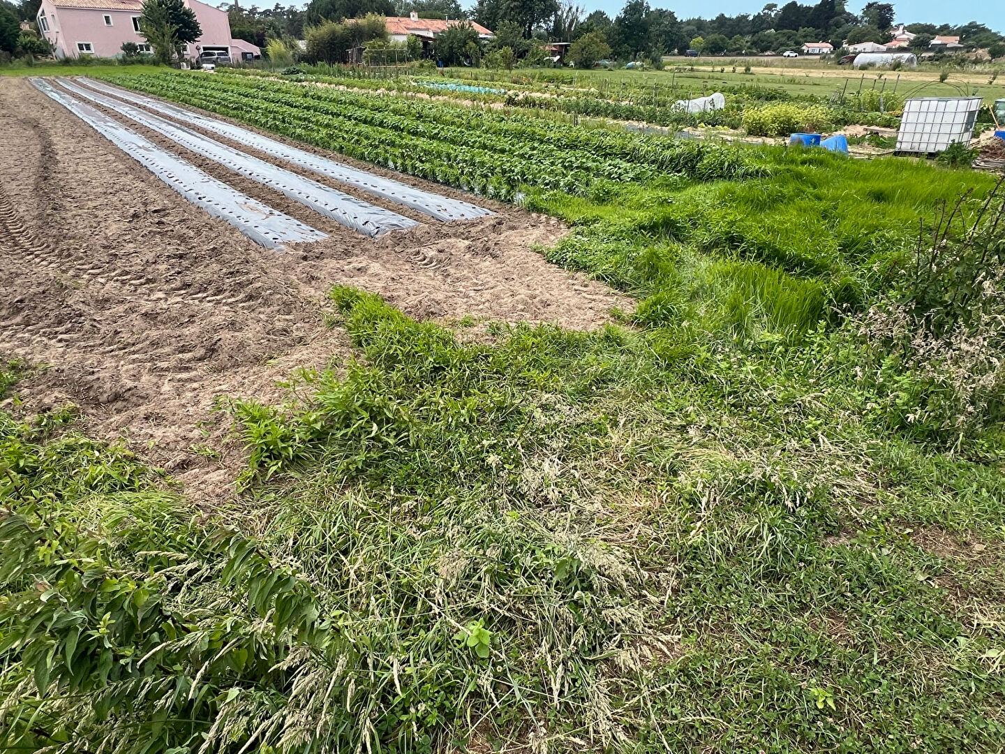 Terrain de loisirs LONGEVILLE SUR MER (85560)