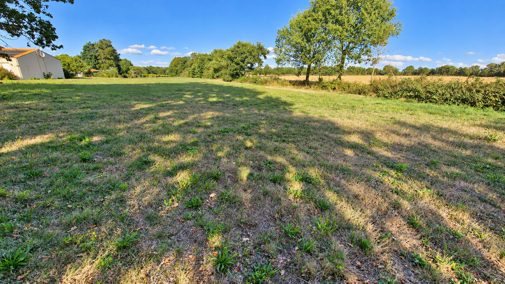 Terrain GROSBREUIL (85440) 986.00 m&sup2;