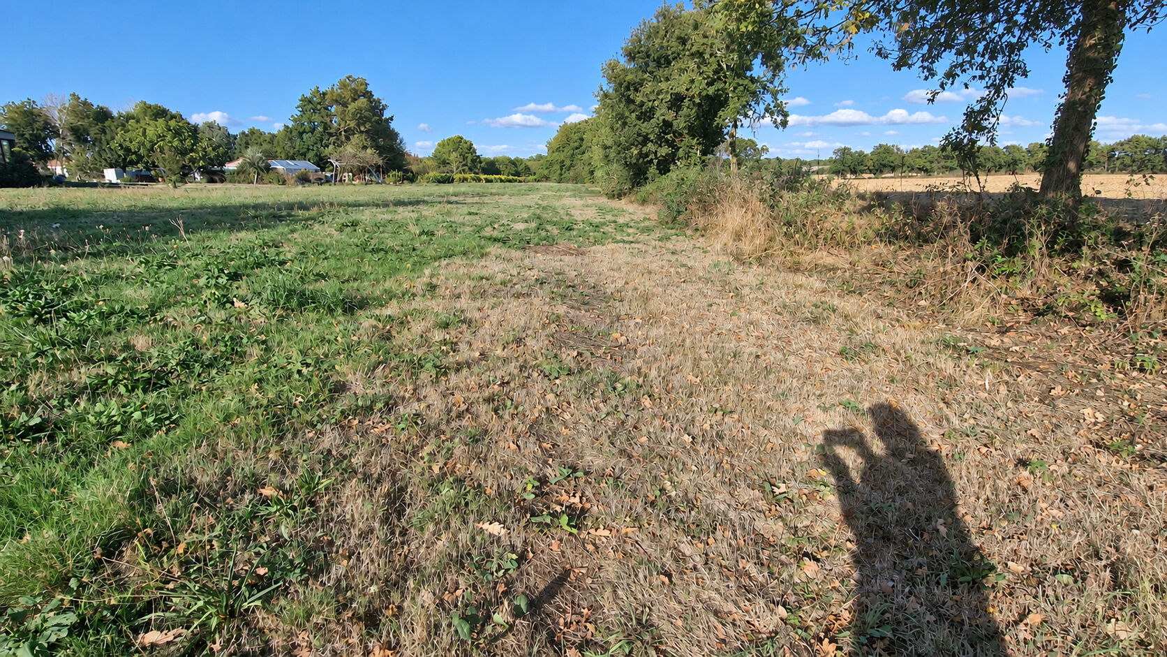 Terrain GROSBREUIL (85440) 2730.00 m&sup2;