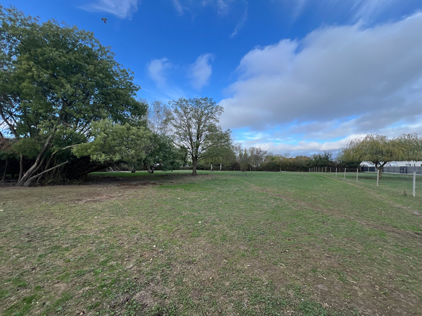 Terrain LE BERNARD (85560) 3895.00 m&sup2;