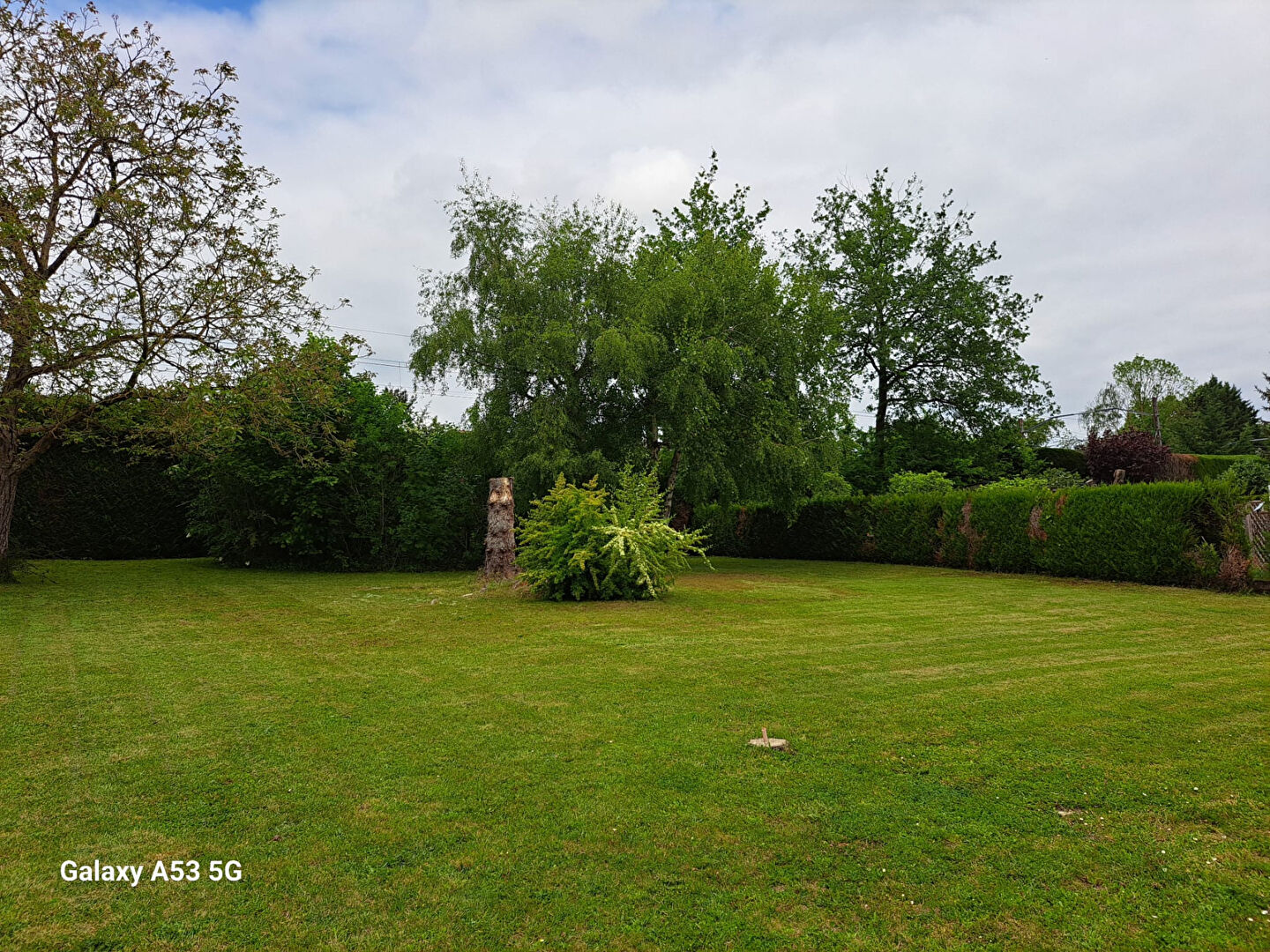 Terrain SAINT CHERON (91530) 540.00 m²