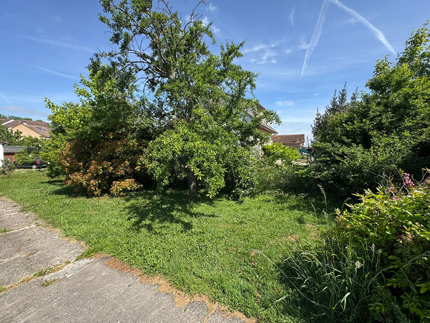 Terrain SAINT GERMAIN LES ARPAJON (91180) 373.00 m²