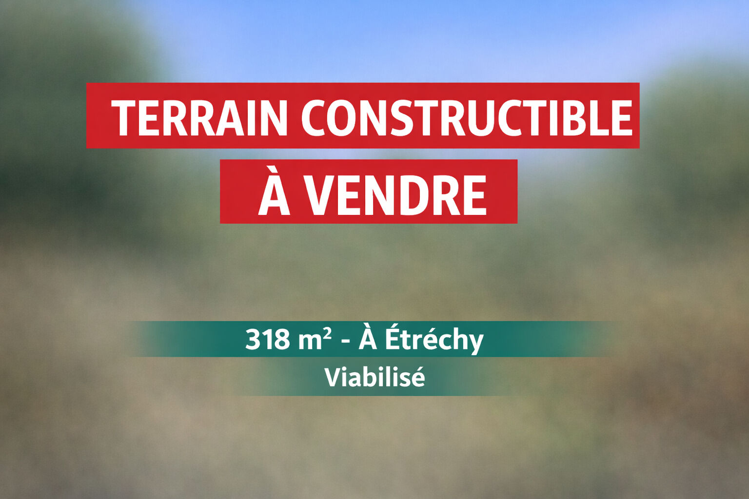 Terrain ETRECHY (91580) 318.00 m&sup2;
