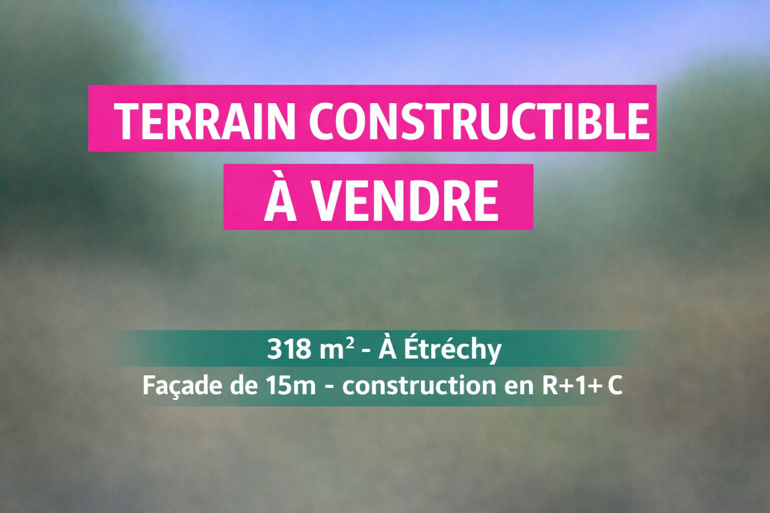 Terrain ETRECHY (91580) 318.00 m&sup2;