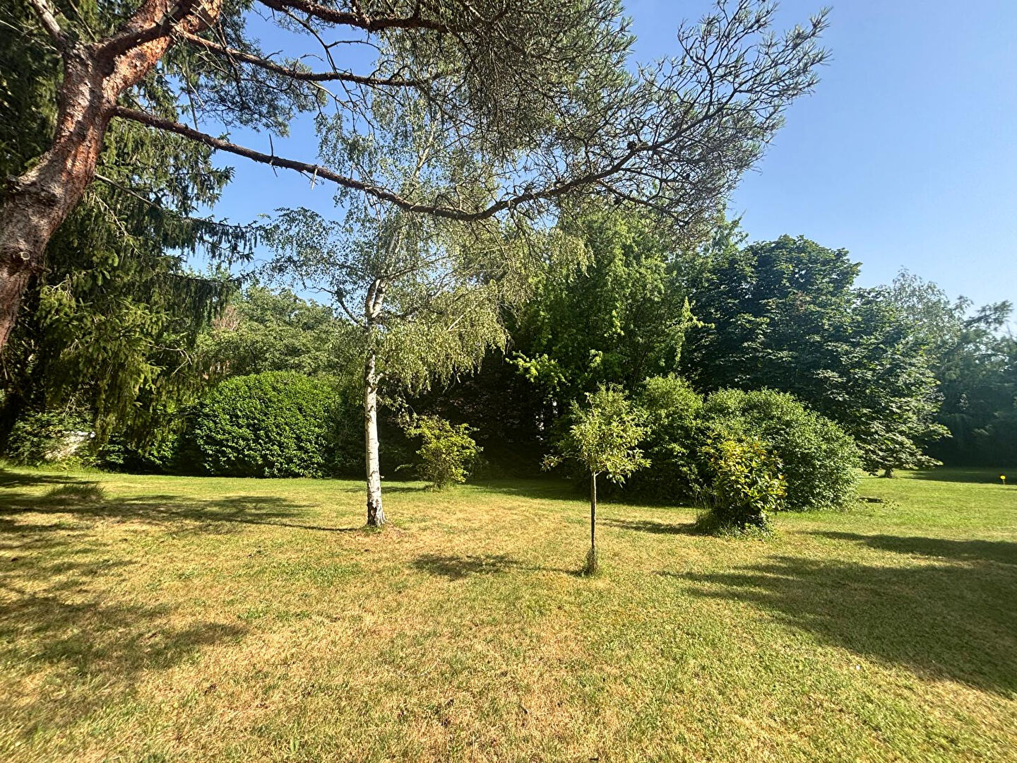 Terrain BOISSY LA RIVIERE (91690) 1000.00 m&sup2;