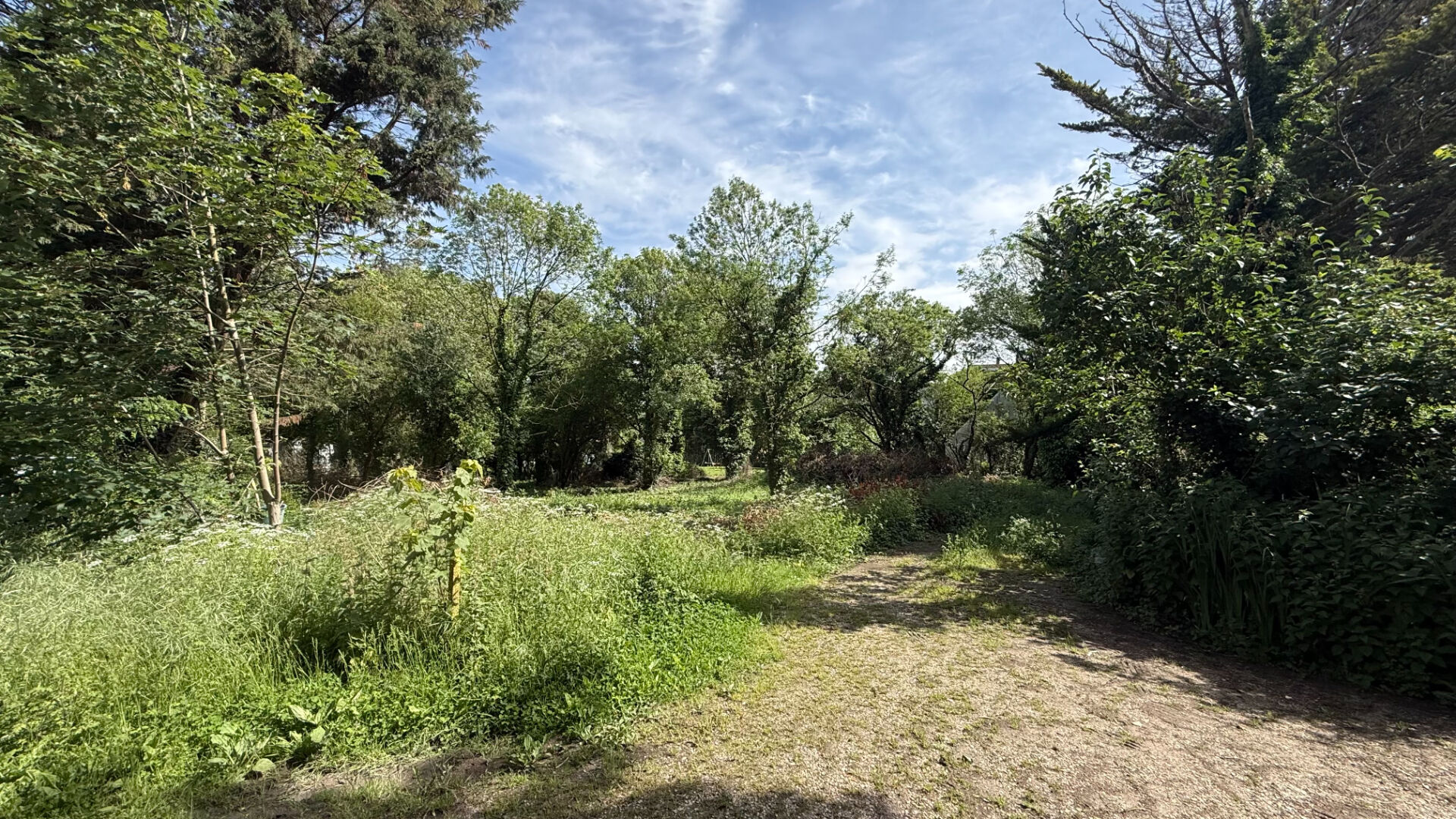 Terrain ARPAJON (91290) 216.00 m&sup2;