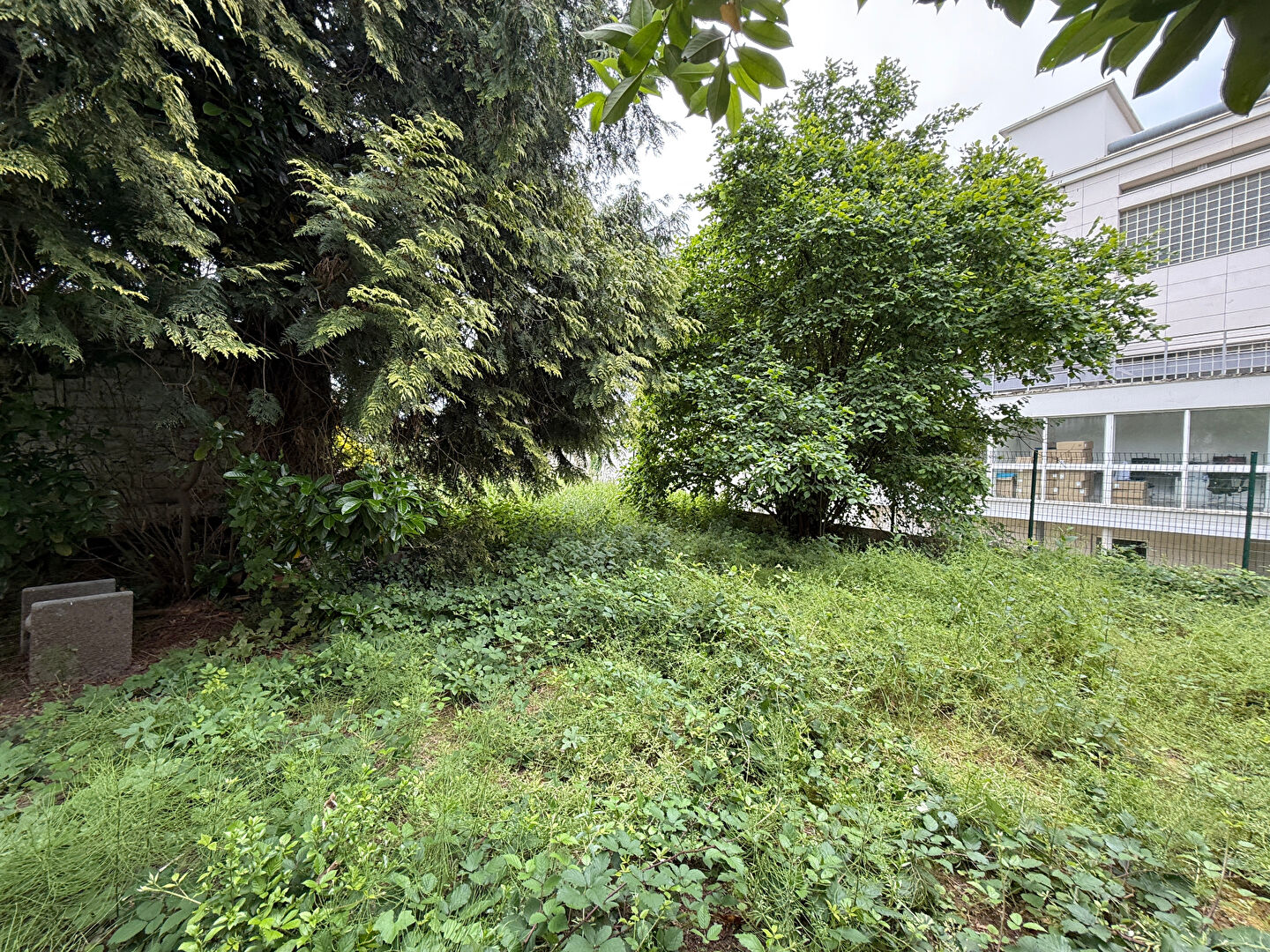 Maison PALAISEAU (91120) 5 pièces 59.31 m²