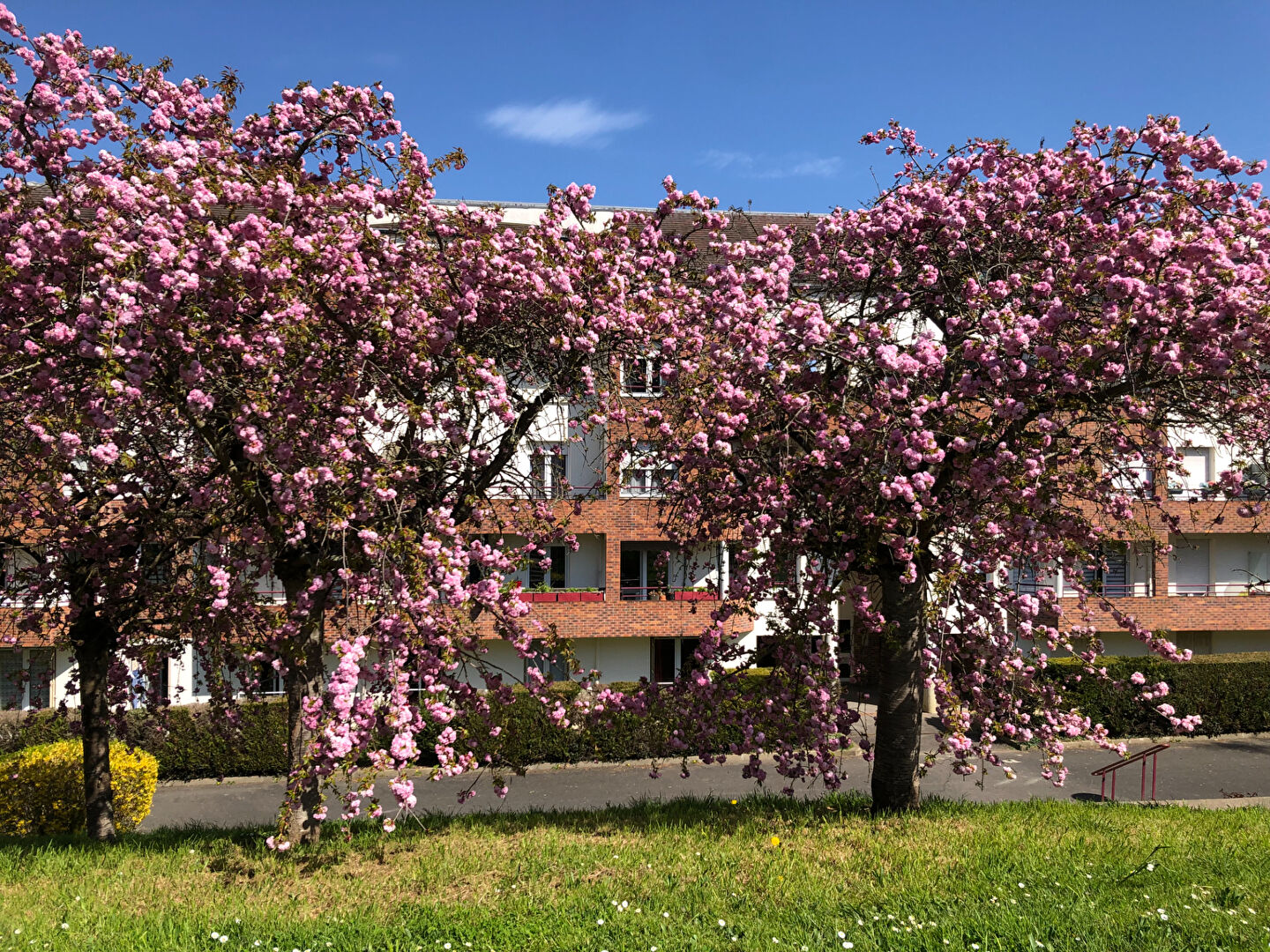 Appartement LONGJUMEAU (91160) 3 pièces 71.33 m²