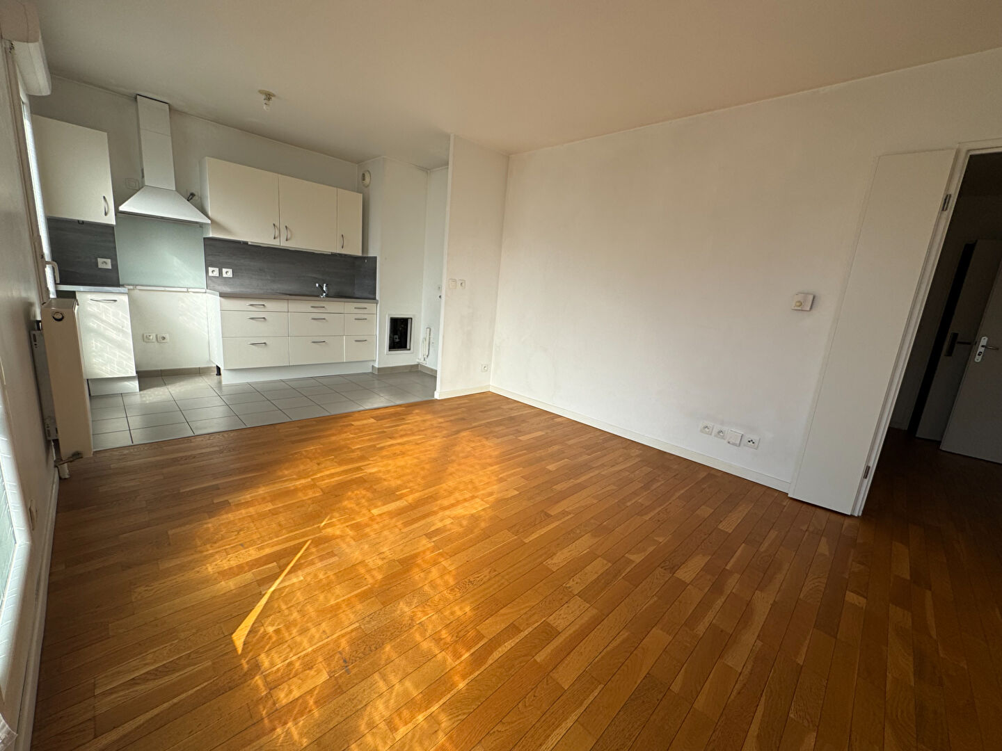 Appartement MASSY (91300) 2 pièces 46.21 m²