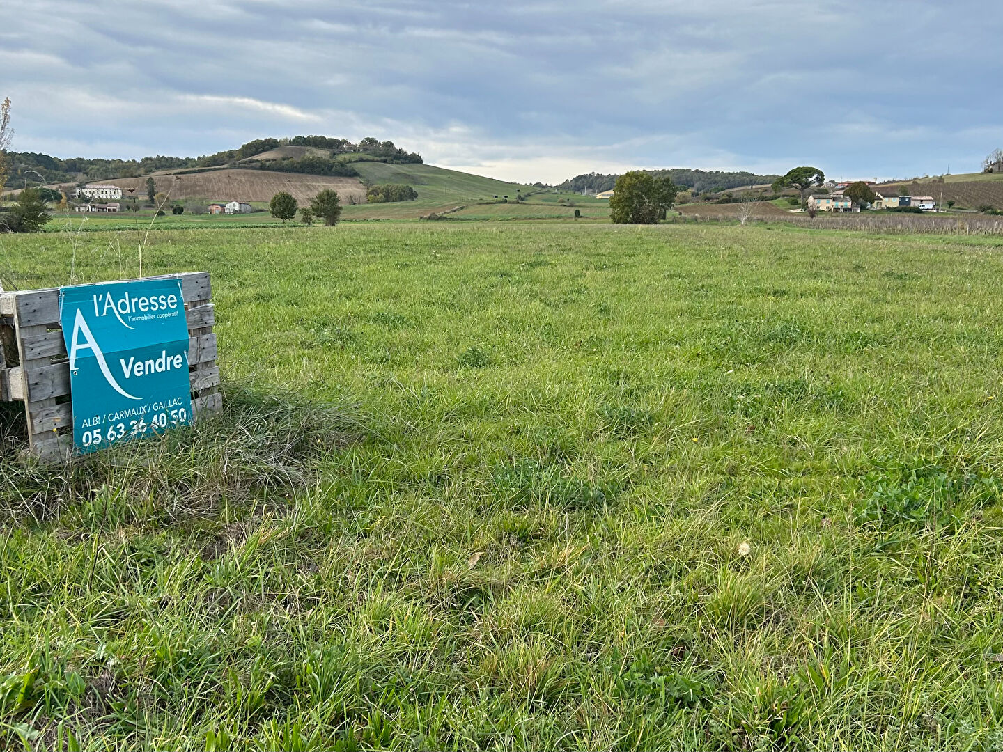 Terrain GAILLAC (81600) 39841.00 m²