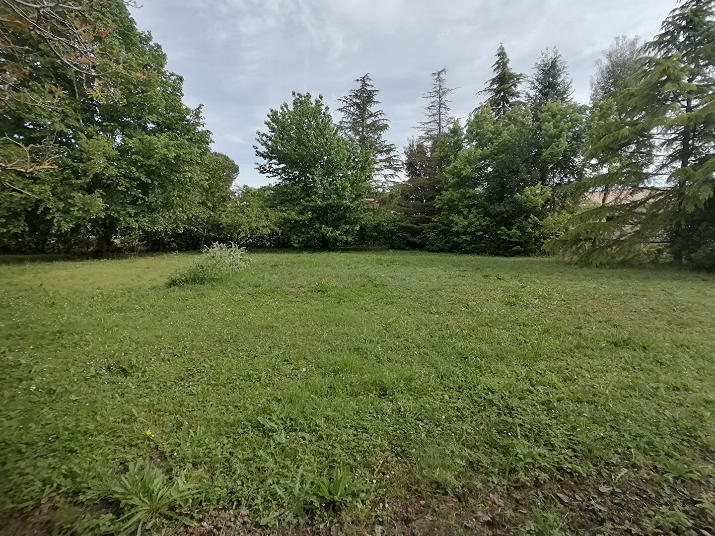 Terrain GAILLAC (81600) 903.00 m²