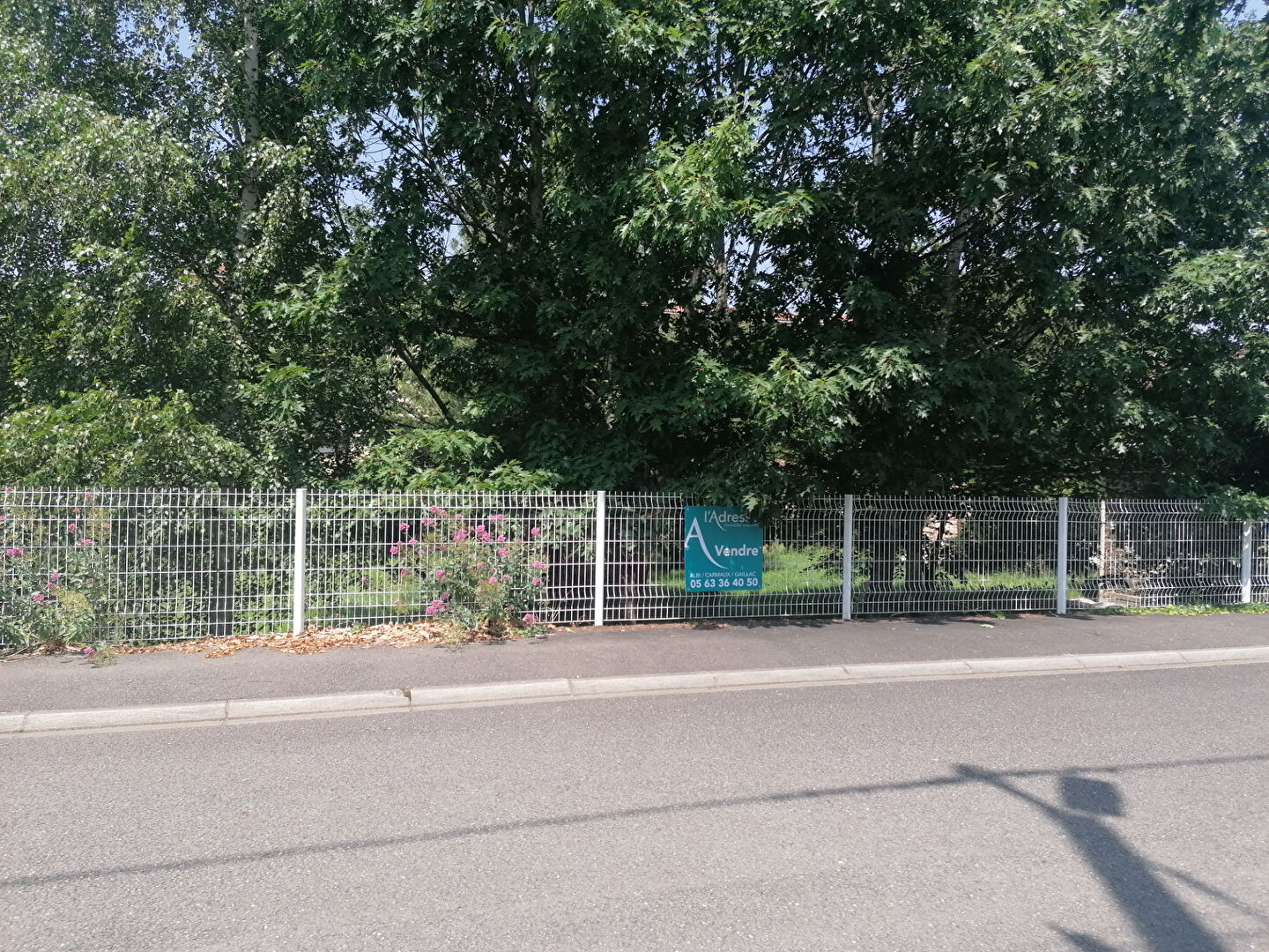 Terrain CARMAUX (81400) 1215.00 m²