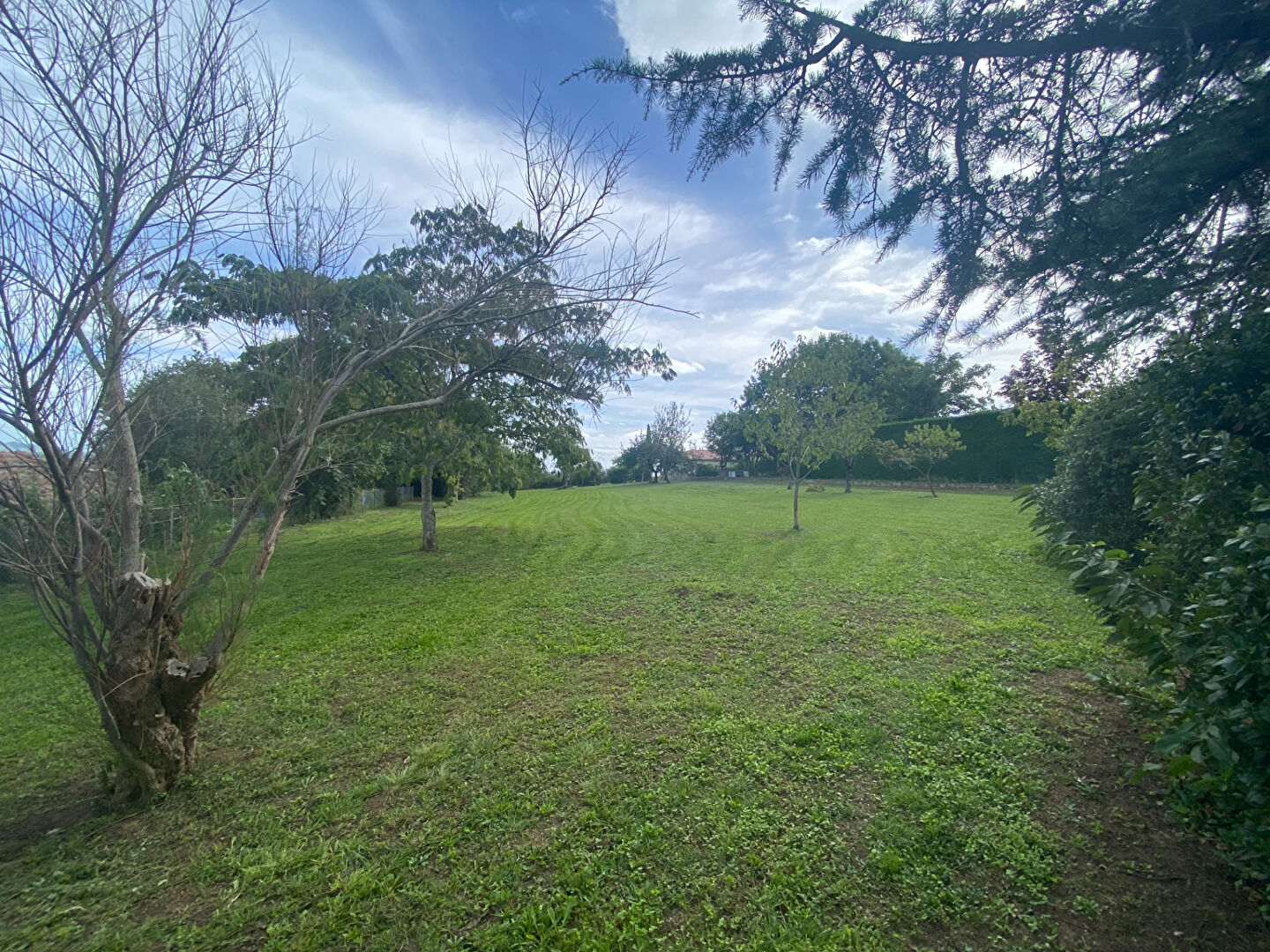 Terrain CARMAUX (81400) 1625.00 m²