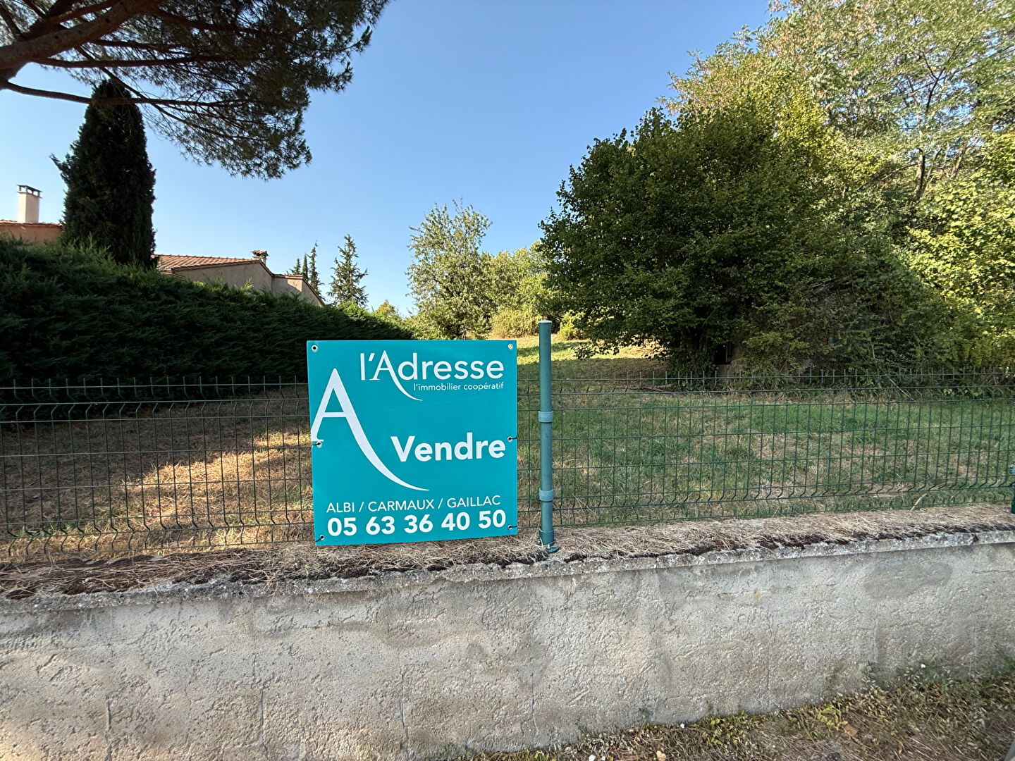 Terrain CARMAUX (81400) 3259.00 m²