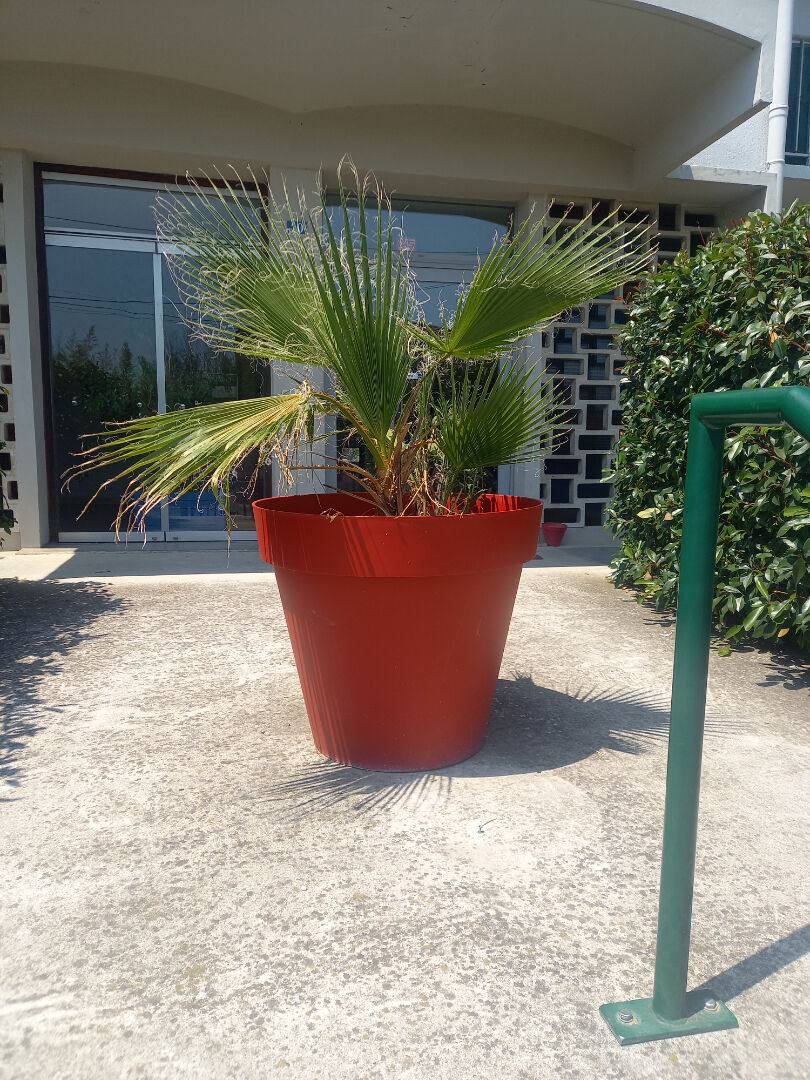 Appartement ALBI (81000) 1 pièce 19.00 m²