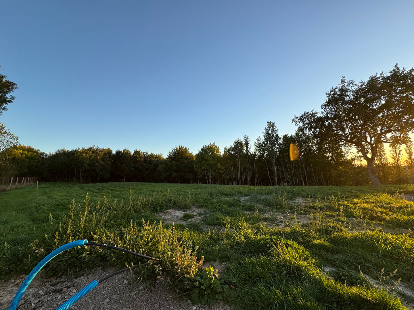 Terrain Montans (81600) 600.00 m²