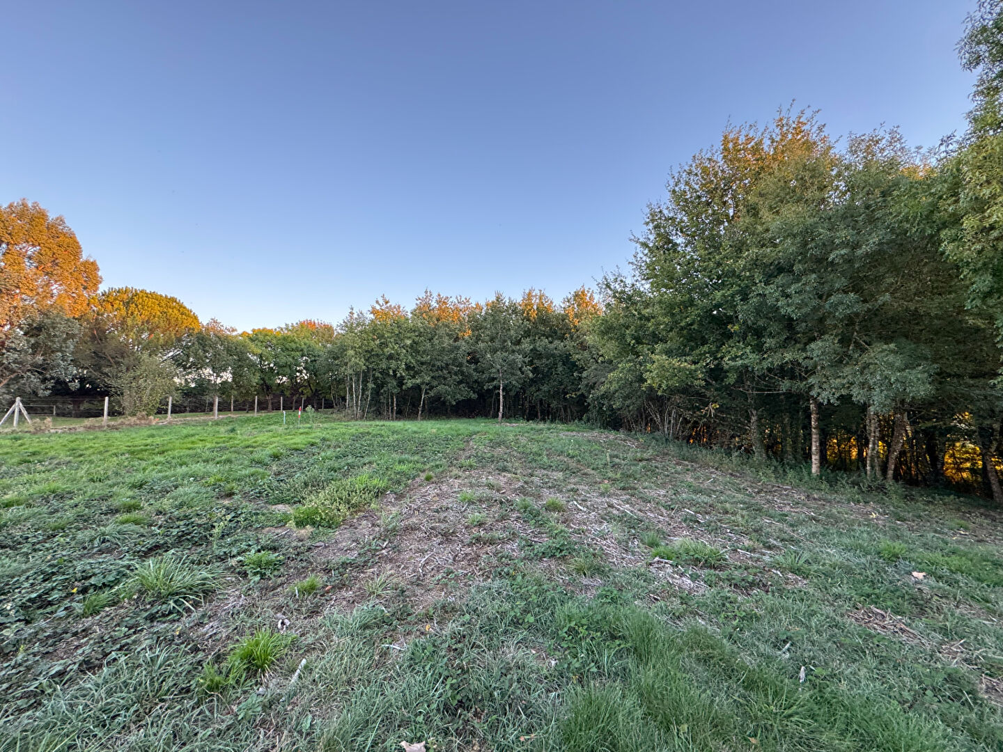 Terrain MONTANS (81600) 624.53 m²
