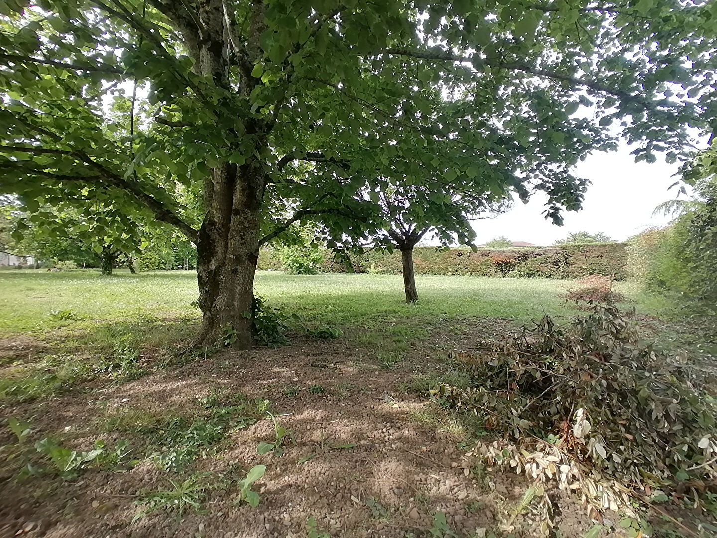 Terrain GAILLAC (81600) 914.00 m²