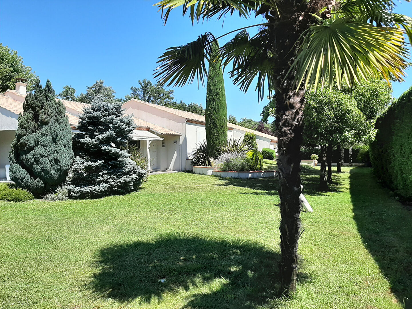 Maison ALBI (81000) 8 pièces 259.00 m²