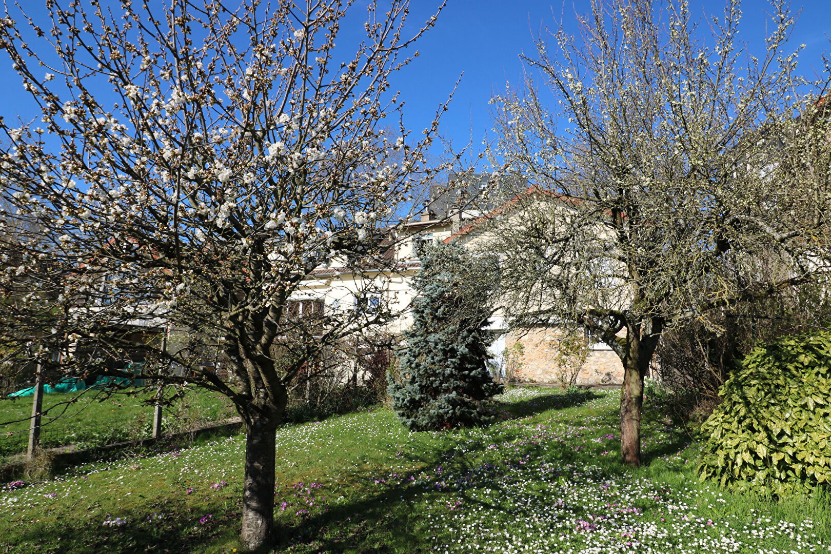 Terrain ANTONY (92160) 467.00 m²