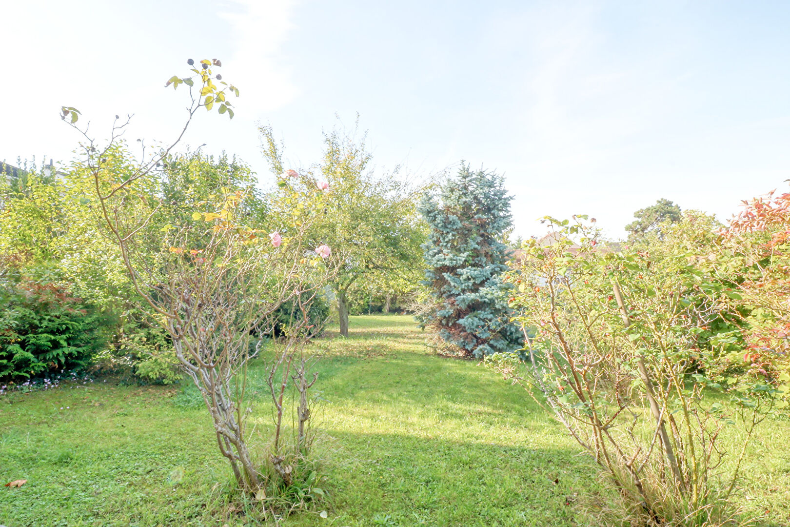 Terrain ANTONY (92160) 467.00 m²