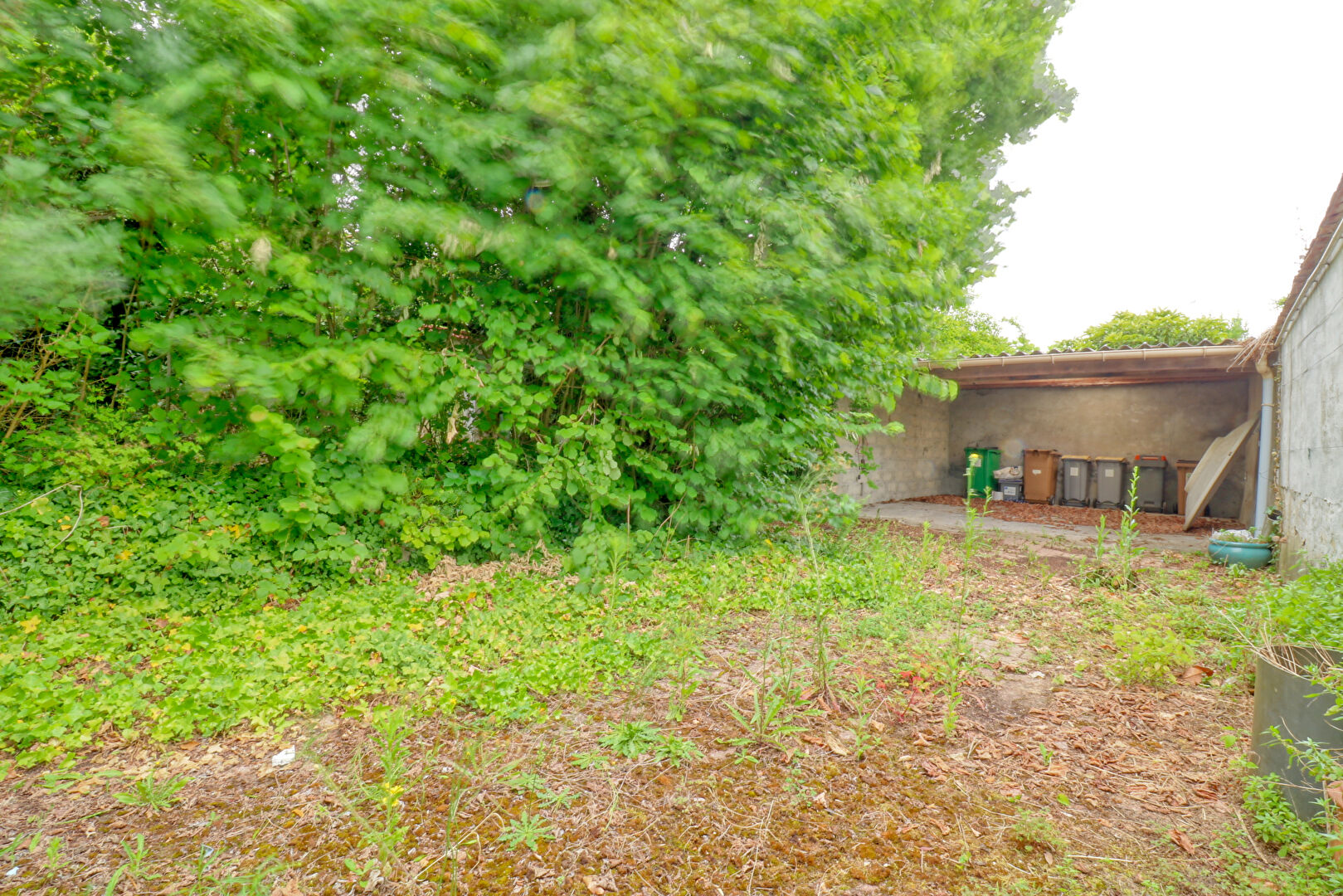 Terrain WISSOUS (91320) 278.00 m&sup2;