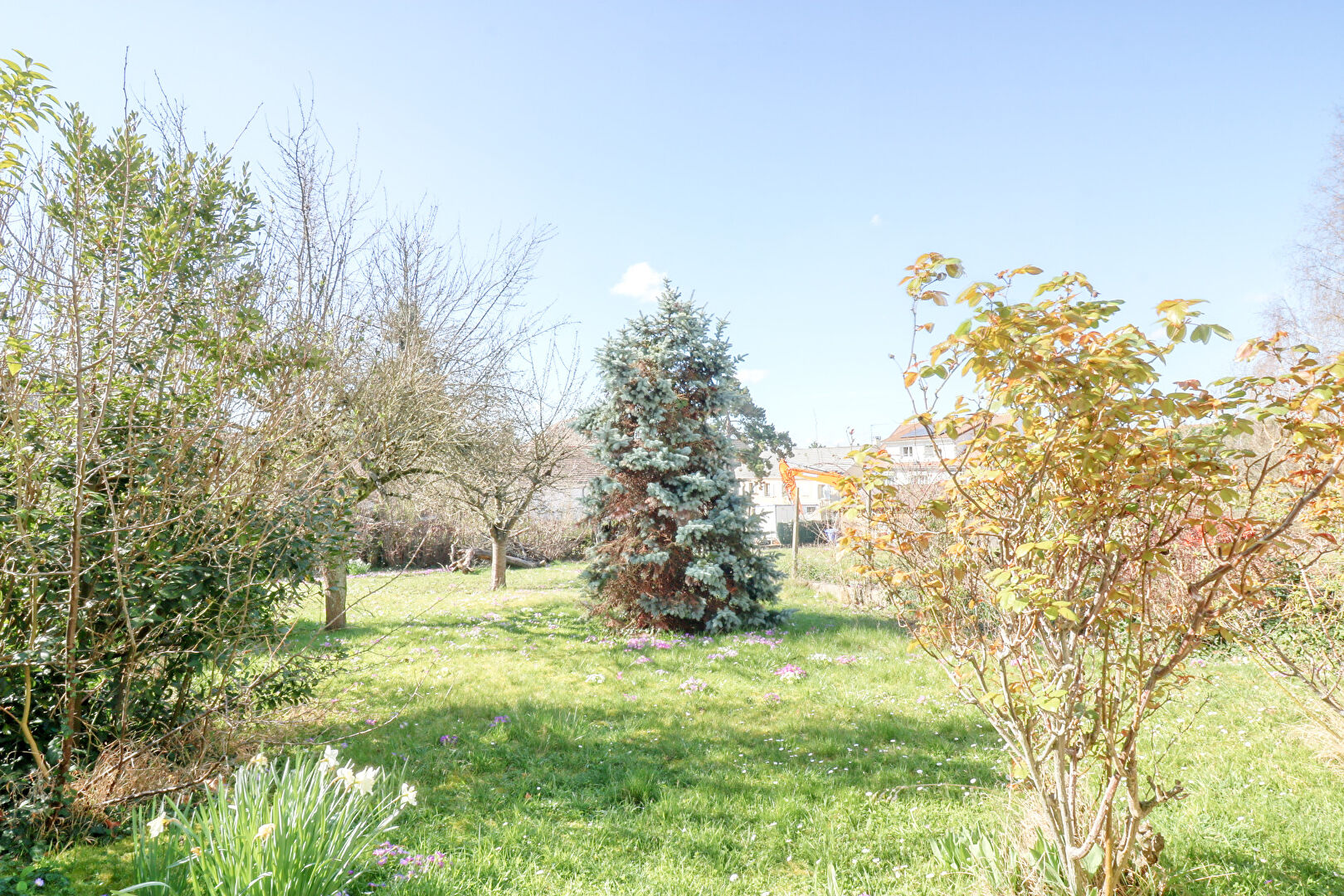 Terrain ANTONY (92160) 467.00 m&sup2;