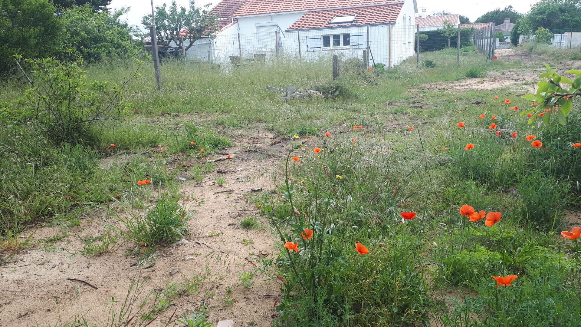 Terrain BARBATRE (85630) 535.00 m²