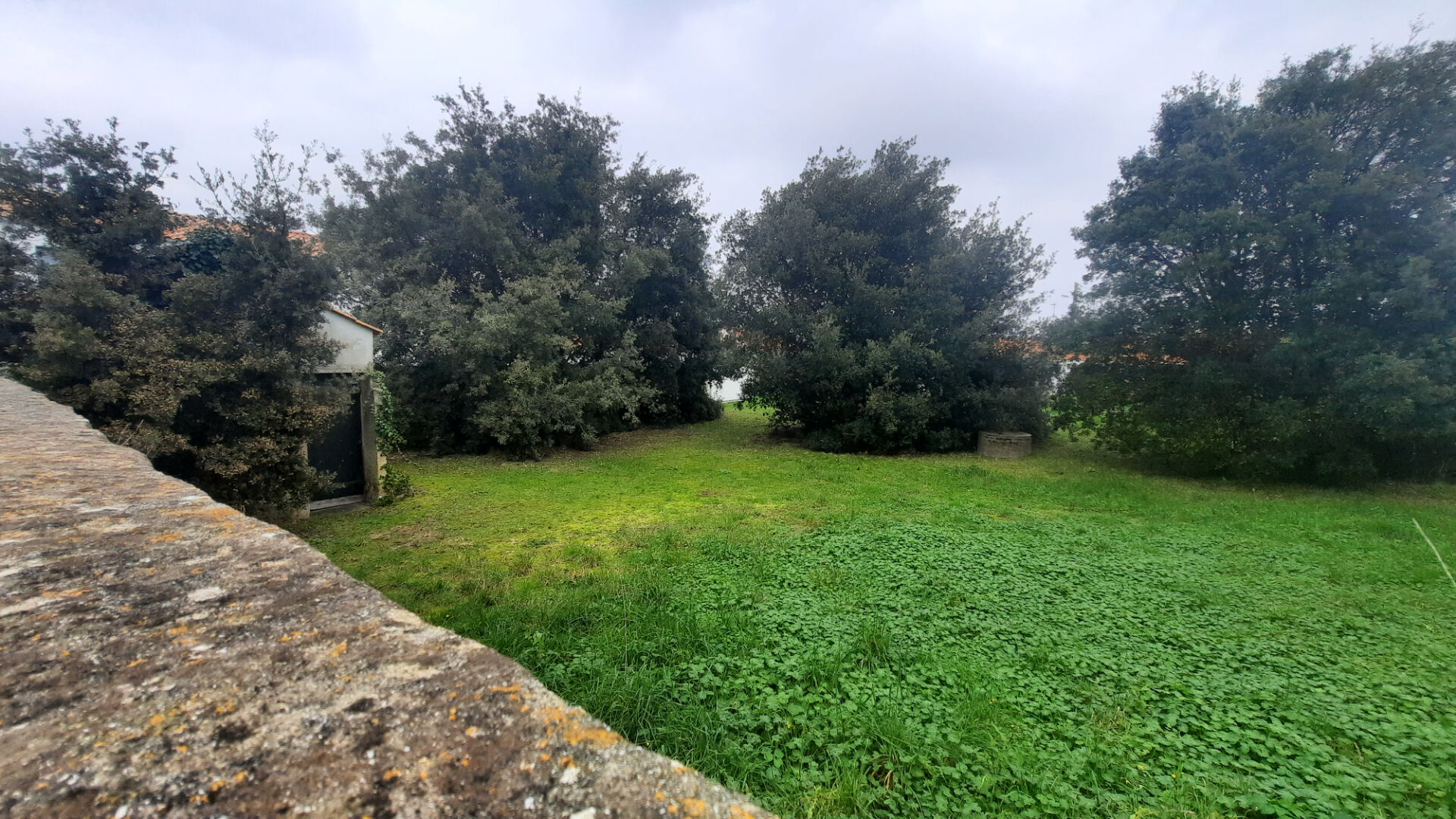 Terrain LA GUERINIERE (85680) 350.00 m&sup2;
