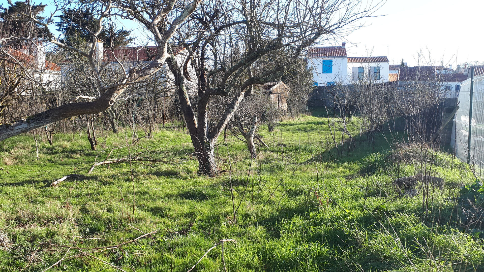 Terrain LA GUERINIERE (85680) 990.00 m²