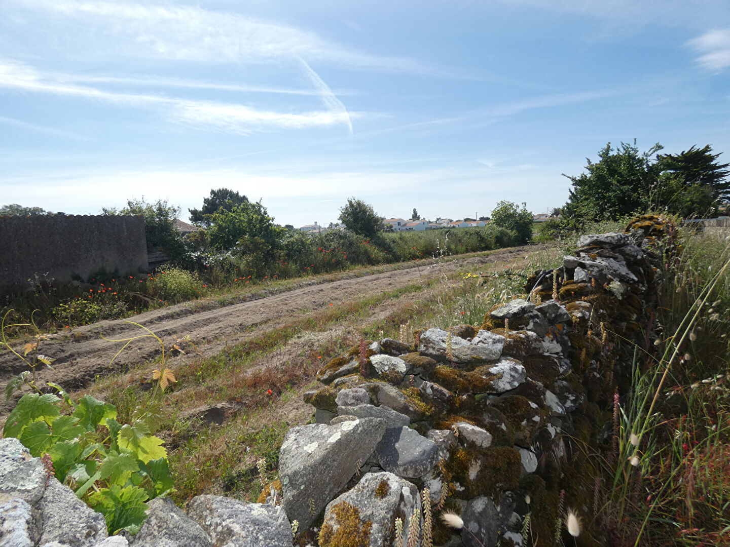 Terrain NOIRMOUTIER EN L ILE (85330) 873.00 m²