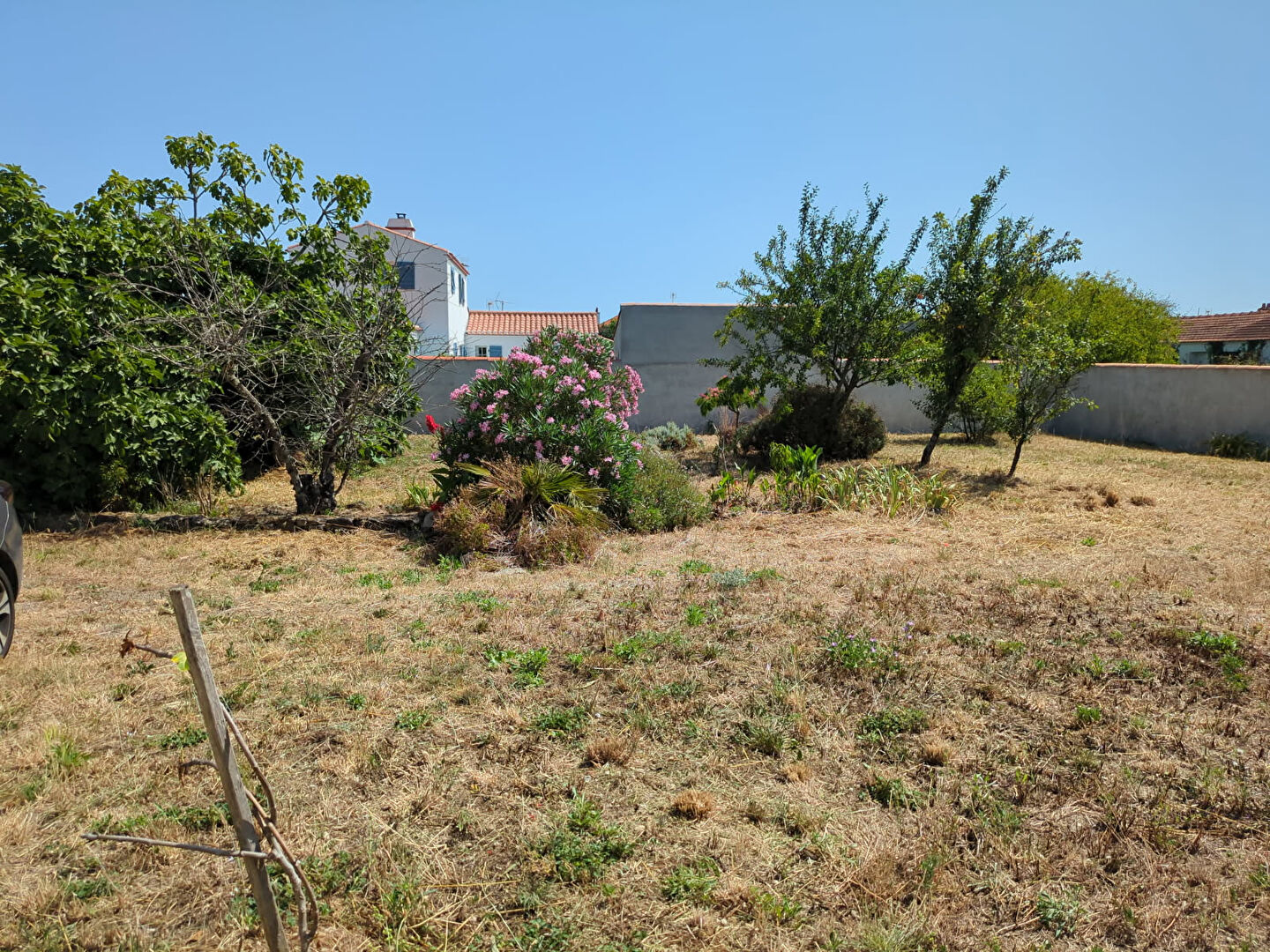 Terrain BARBATRE (85630) 649.00 m²