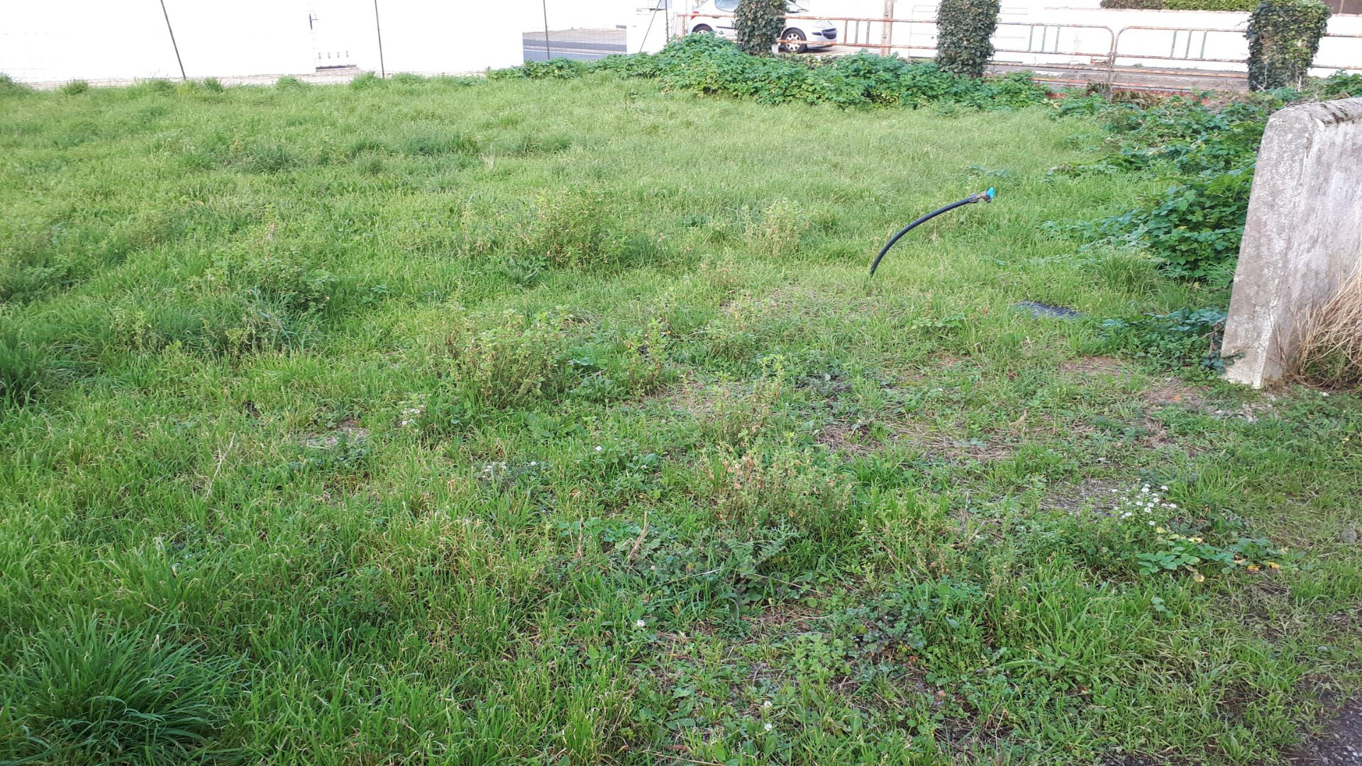 Terrain BARBATRE (85630) 205.00 m&sup2;