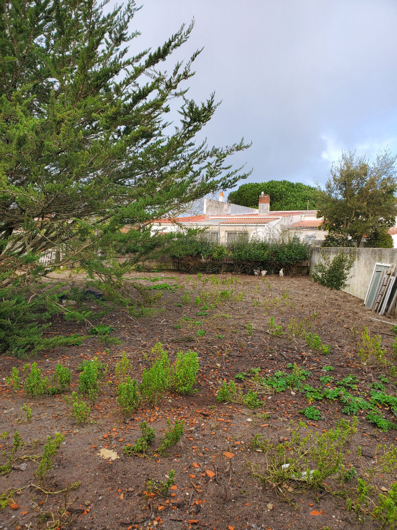 Terrain BARBATRE (85630) 300.00 m&sup2;