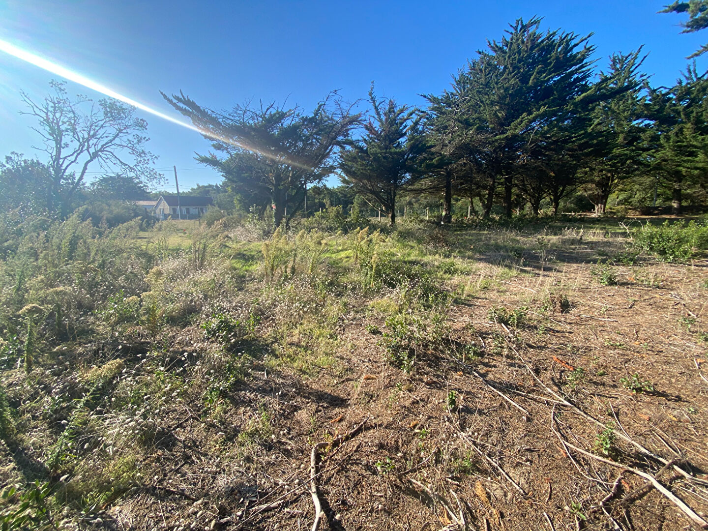 Terrain BARBATRE (85630) 435.00 m²