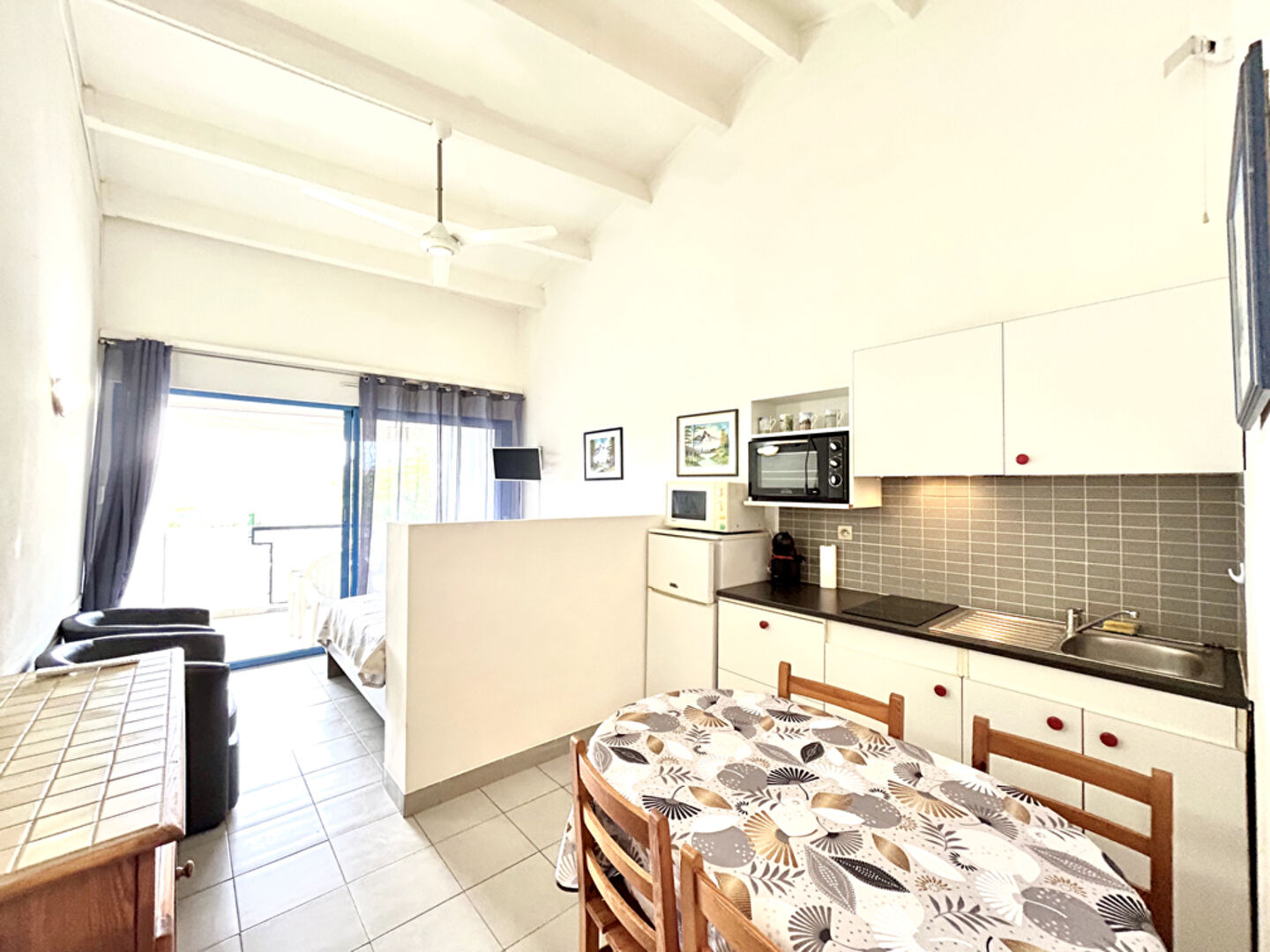 Appartement BALARUC LES BAINS (34540) 1 pièce 21.88 m²